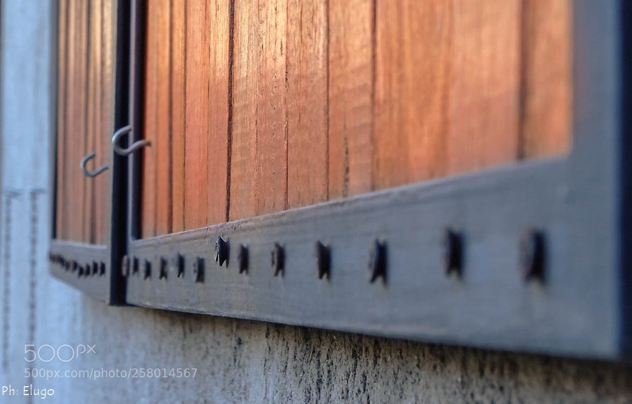 Sony Cyber-shot DSC-HX400V sample photo. Rebellious. photography