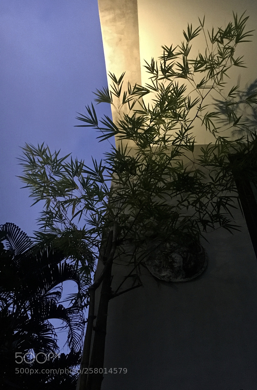 Apple iPhone 6s sample photo. Identity photography