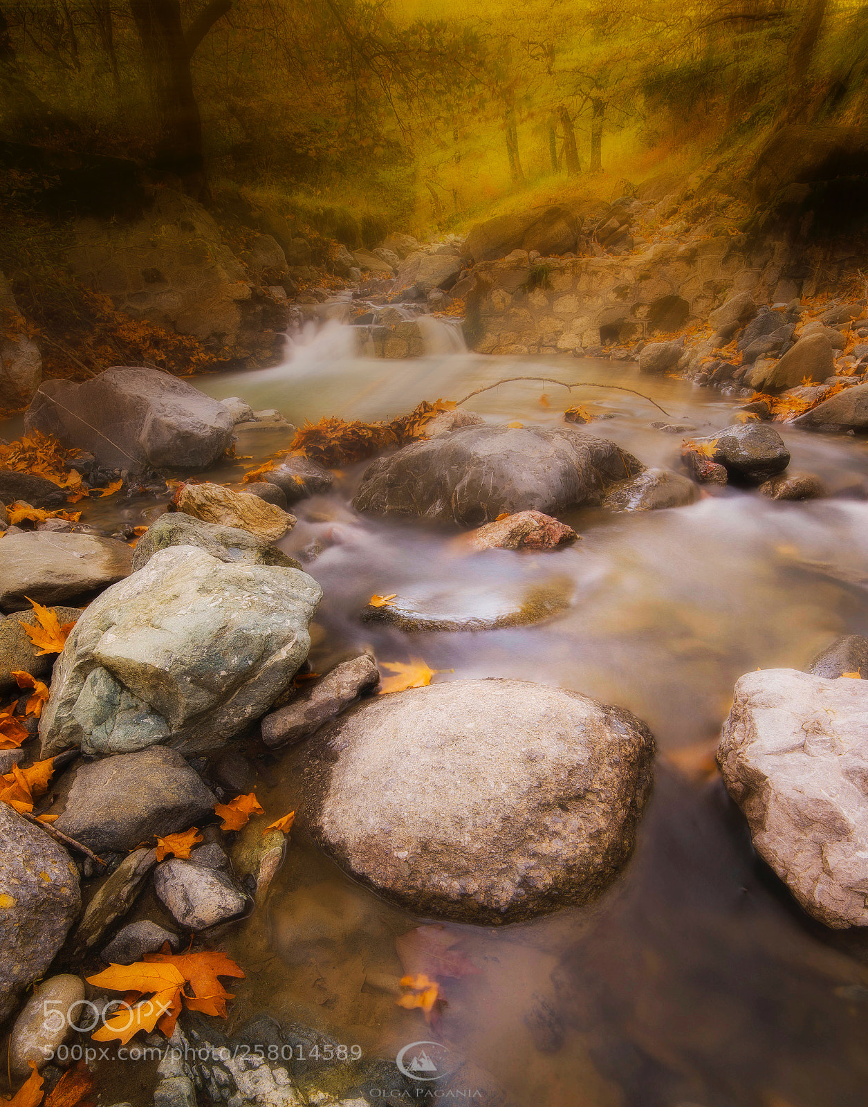 Nikon D610 sample photo. Edem ii photography