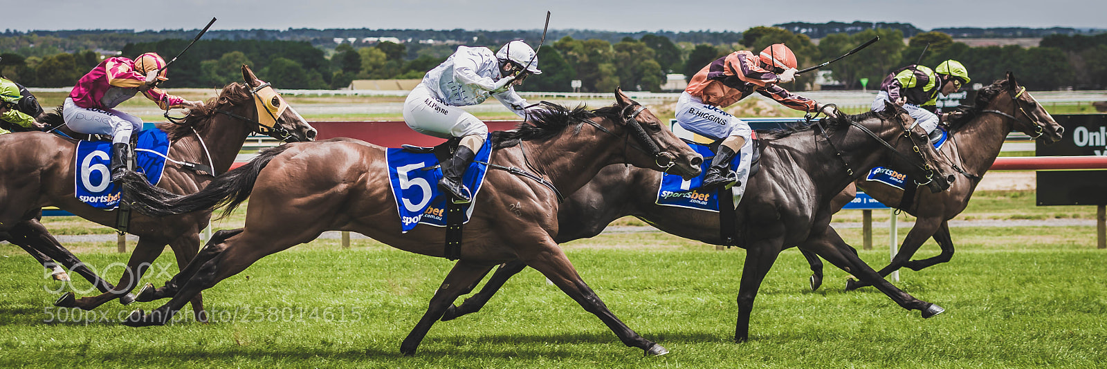 Nikon D610 sample photo. Drive to the line photography