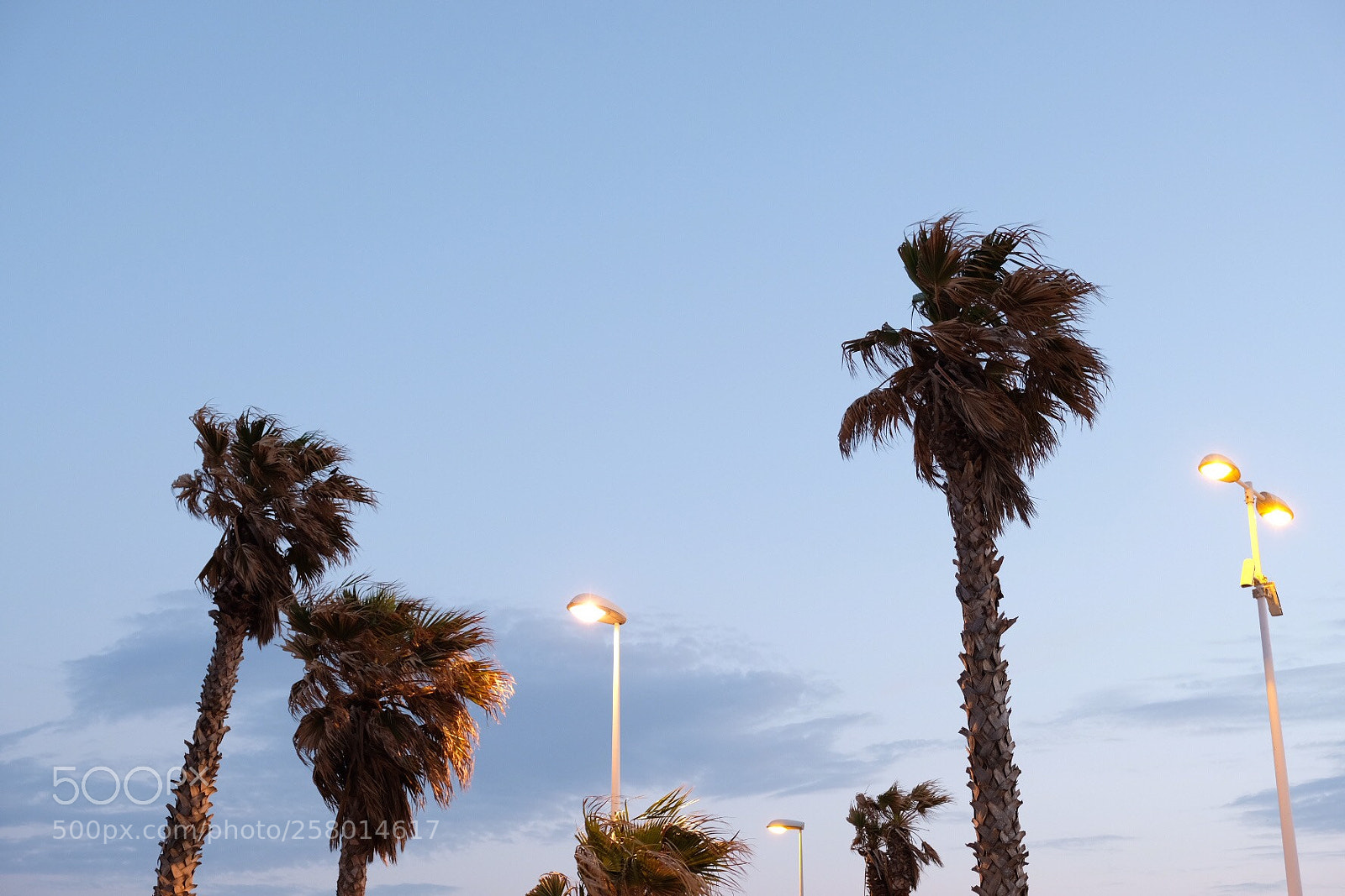 Fujifilm X-T20 sample photo. Untitled photography