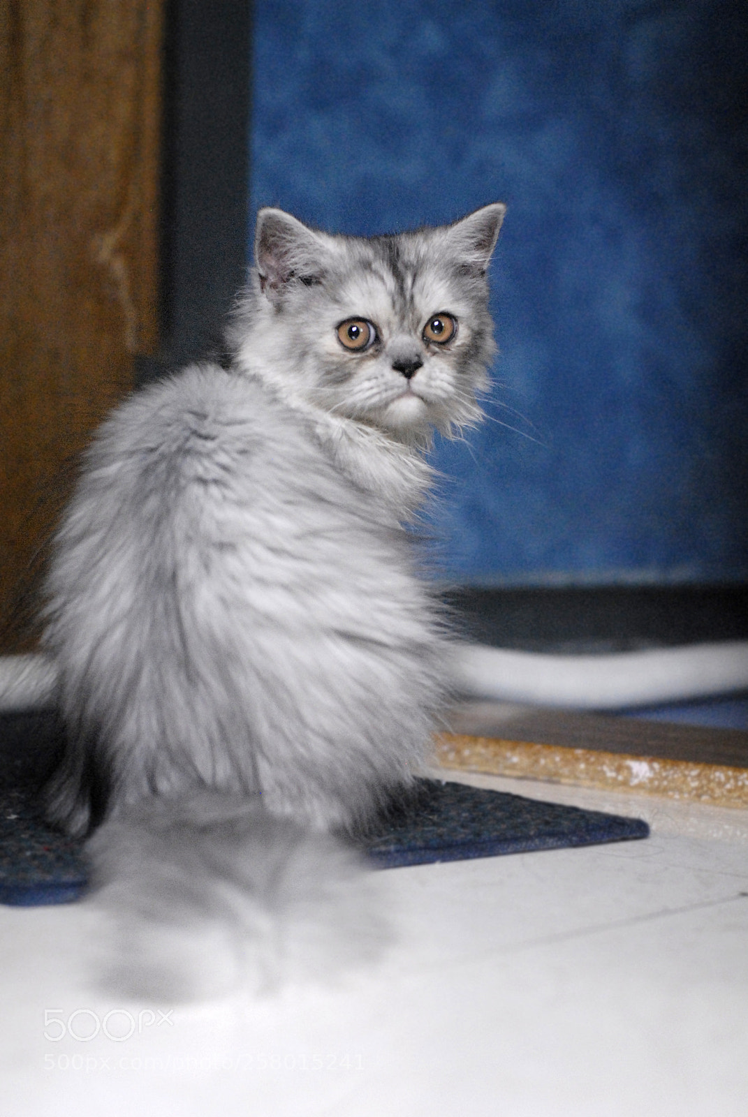 Nikon D200 sample photo. Hey pixie photography