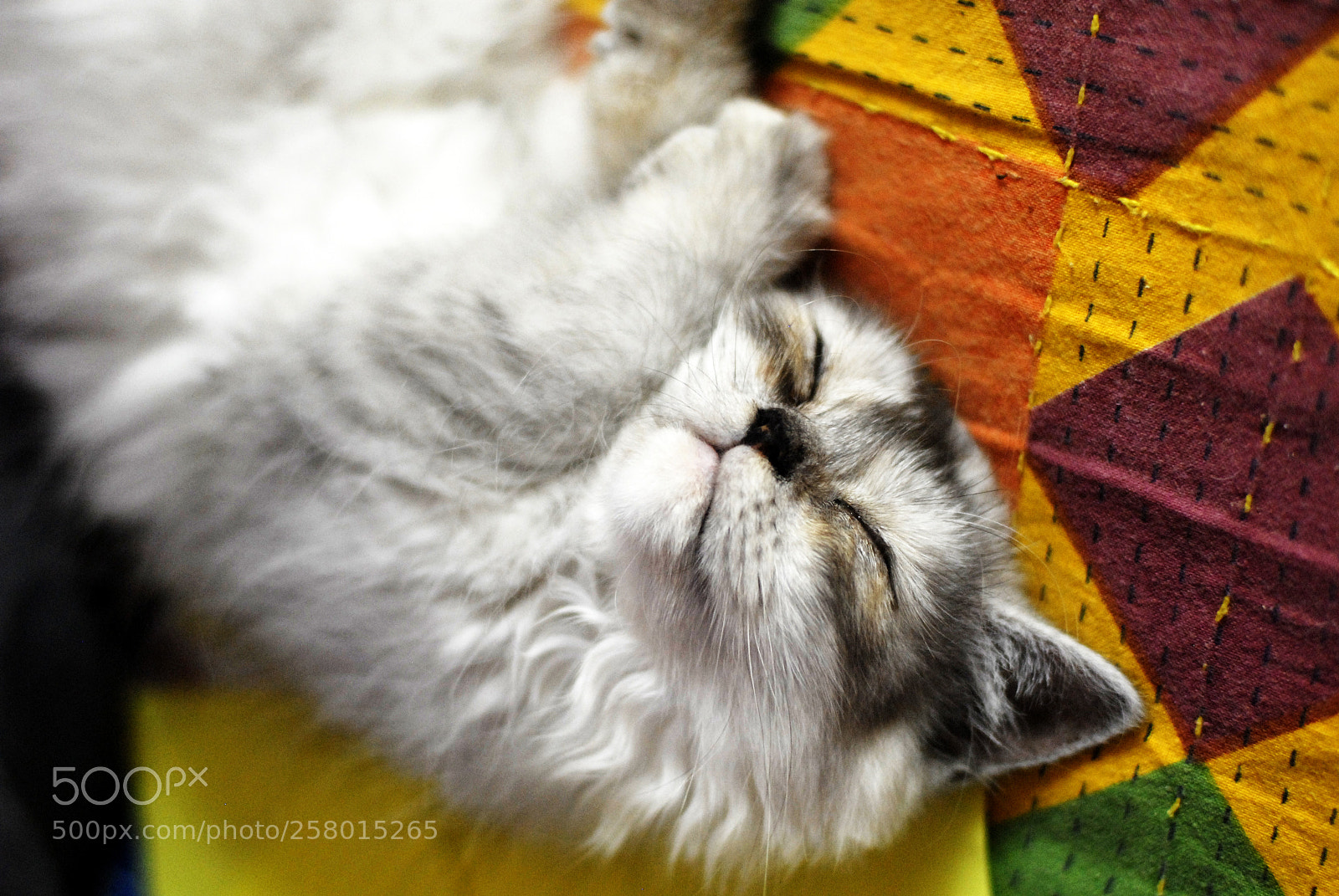 Nikon D200 sample photo. Nap time photography