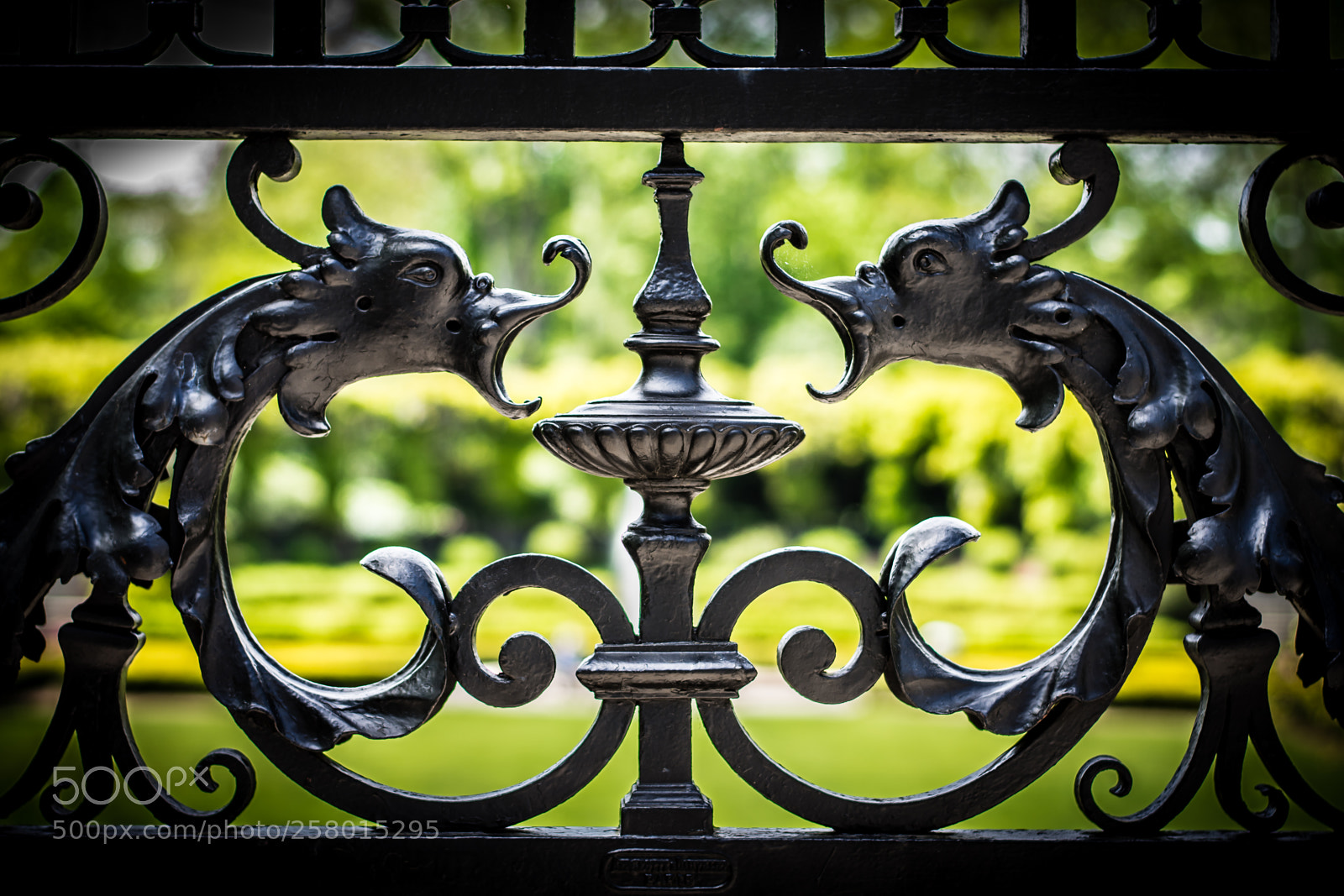 Nikon D7200 sample photo. Lion's gate photography