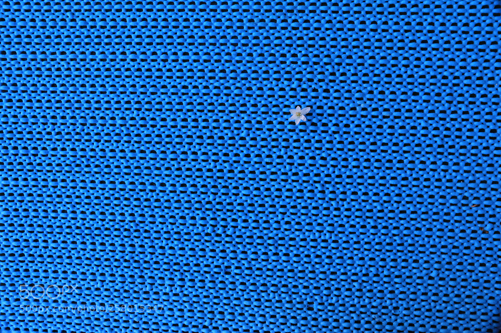 Canon EOS 70D sample photo. Lonely in blue photography