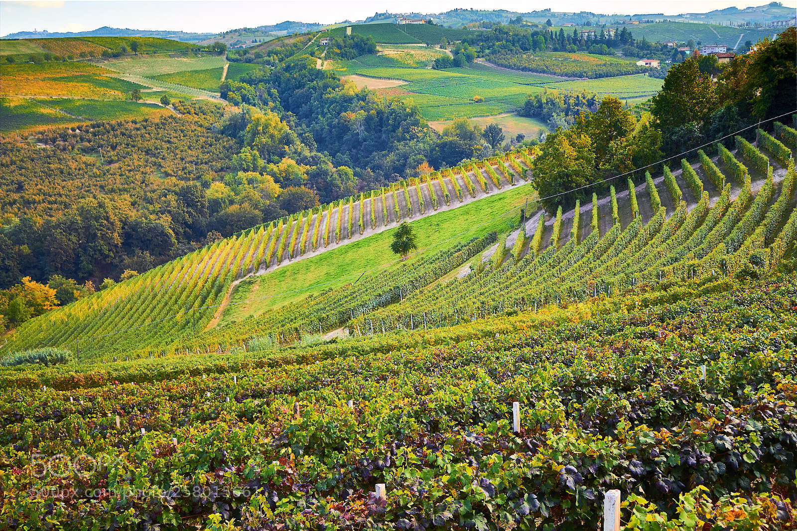 Canon EOS 650D (EOS Rebel T4i / EOS Kiss X6i) sample photo. Italian fields photography