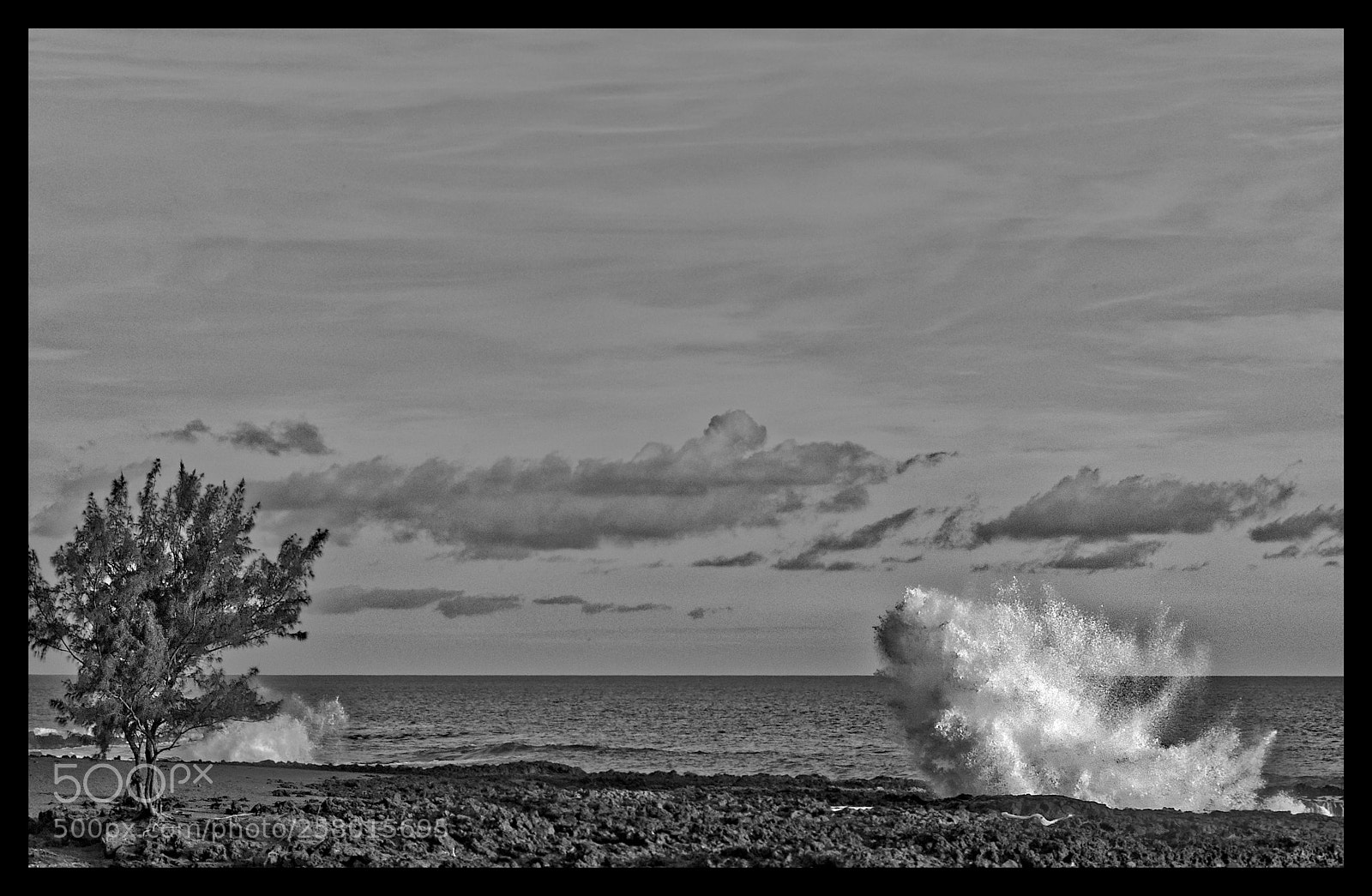 Nikon D7000 sample photo. L'arbre et le souffleur photography