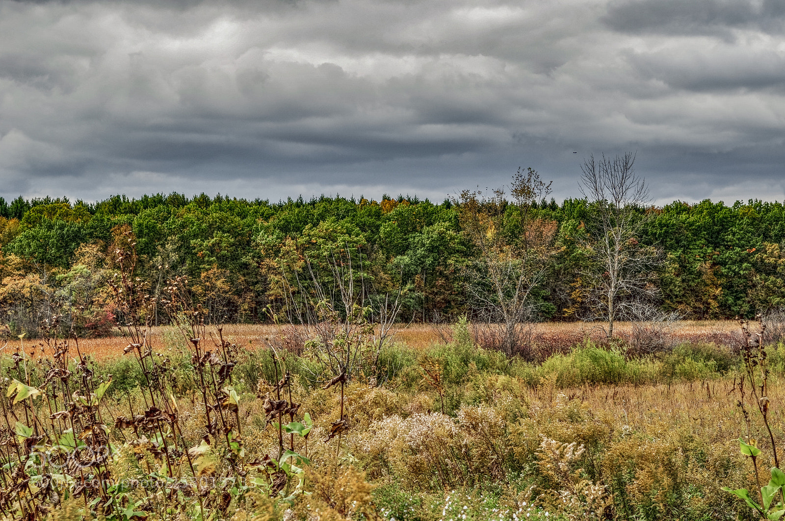 Nikon D5000 sample photo. Wisconsin fall landscape #2 photography