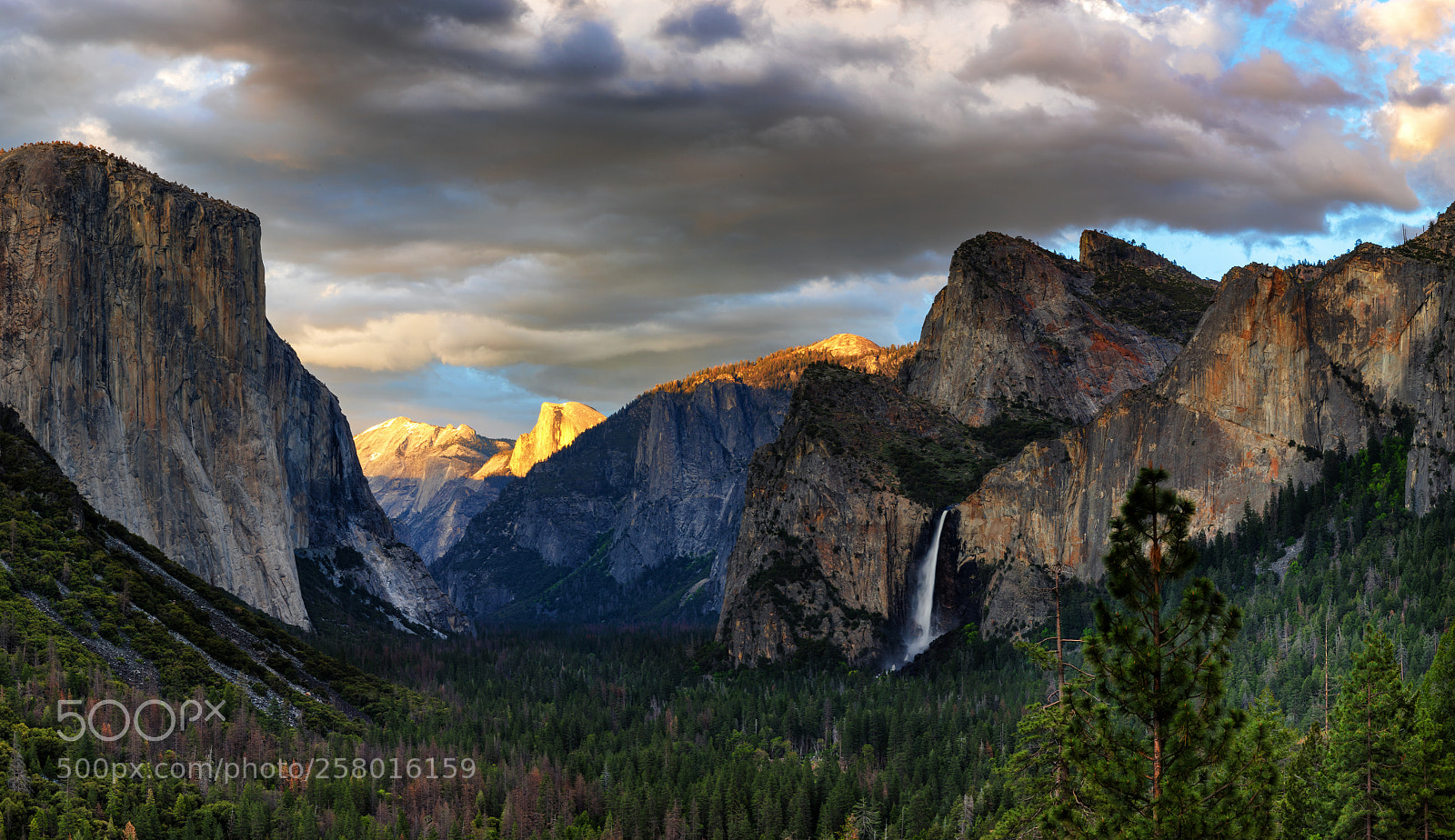 Canon EOS 5D Mark IV sample photo. Moody yosemite photography