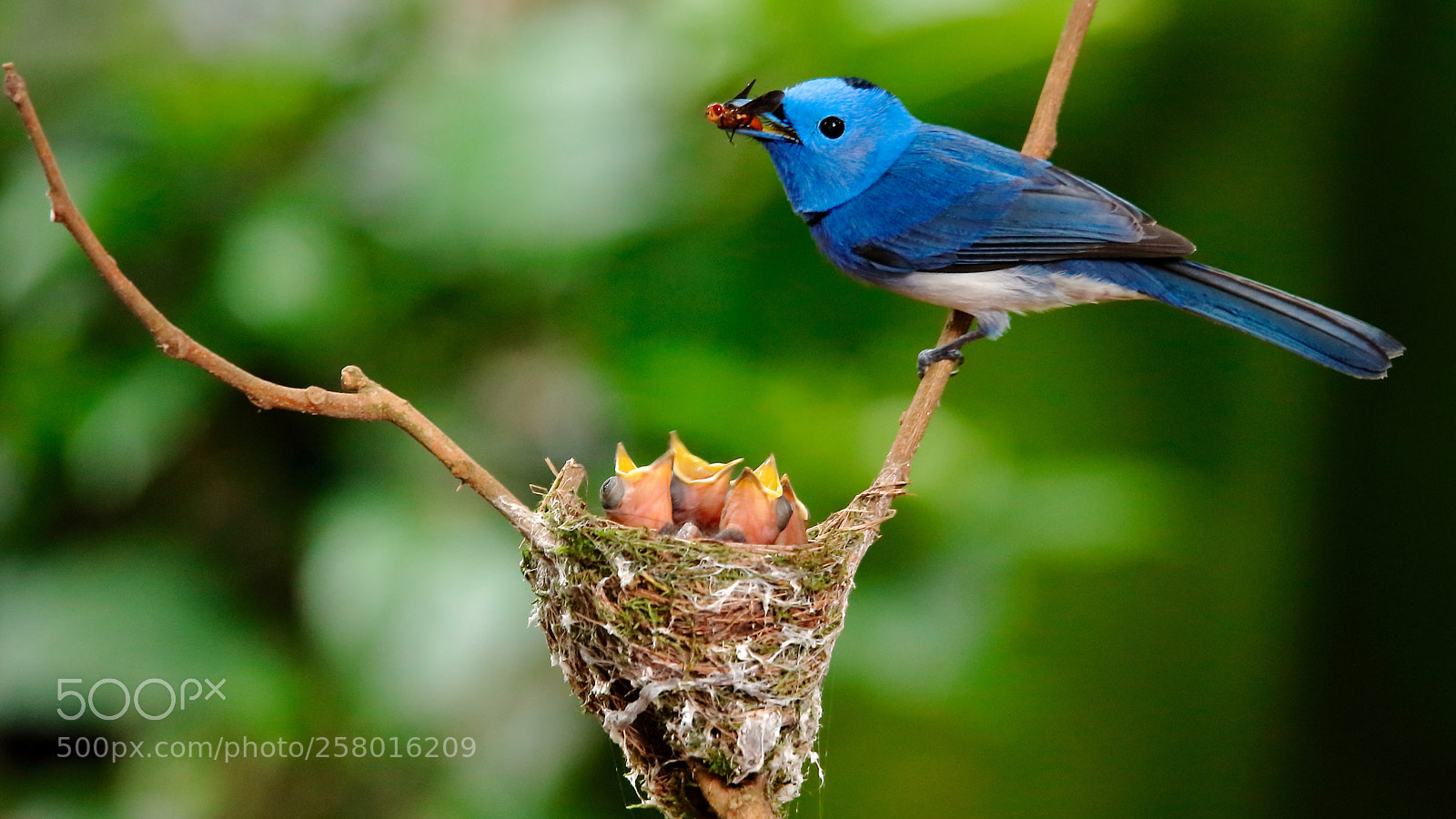 Canon EOS 5DS sample photo. Untitled photography