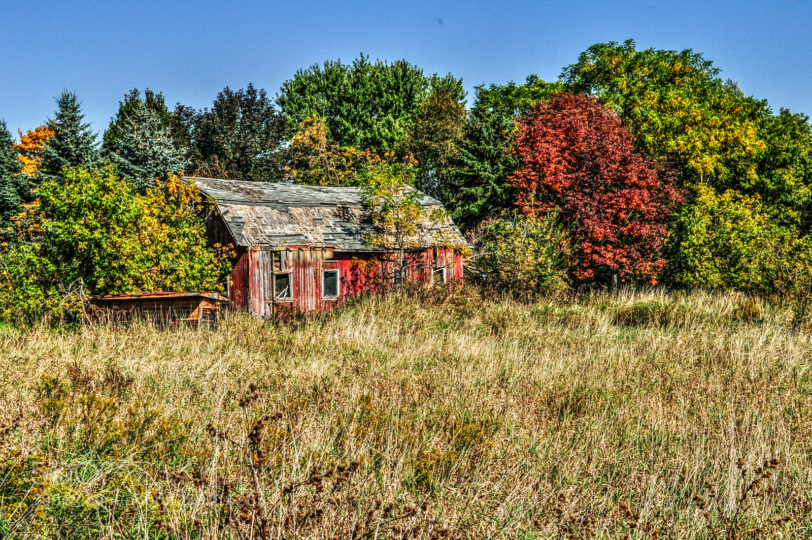 Nikon D5000 sample photo. Forgotten farm photography