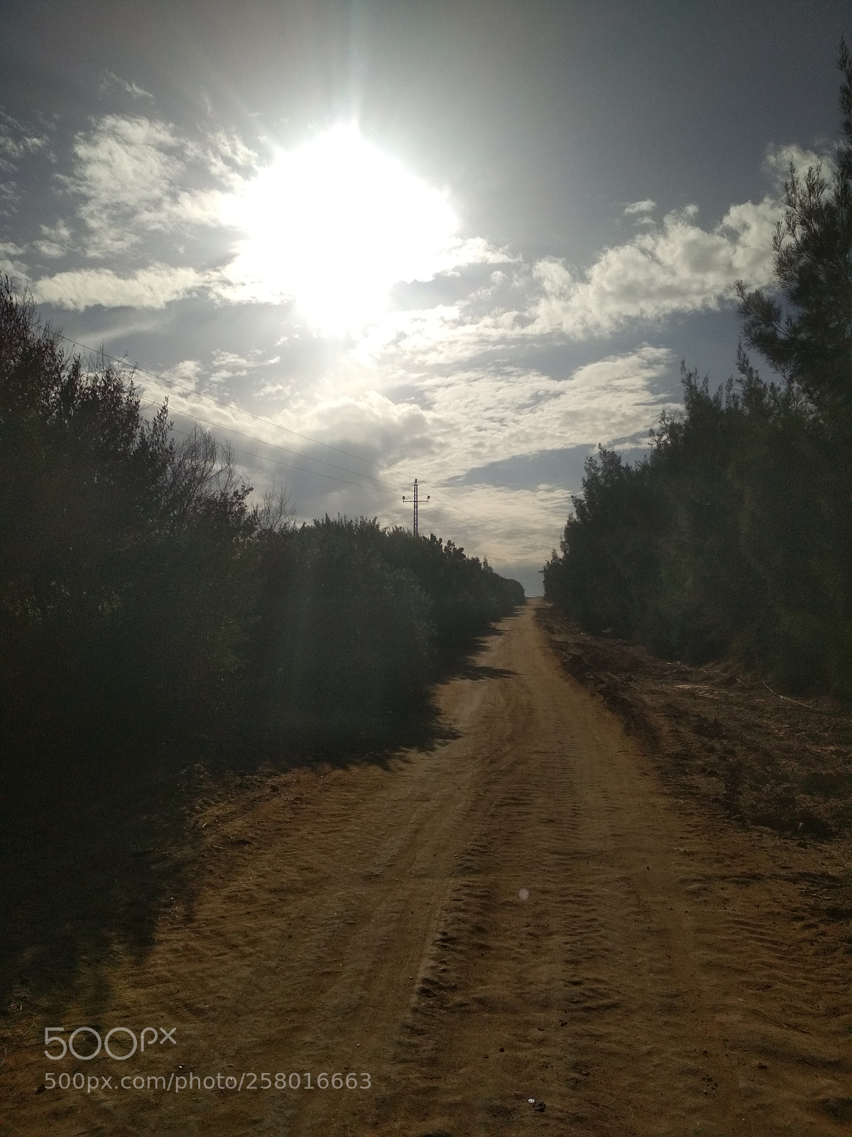 Xiaomi Redmi 4X sample photo. Img_20180222_155408.jpg photography