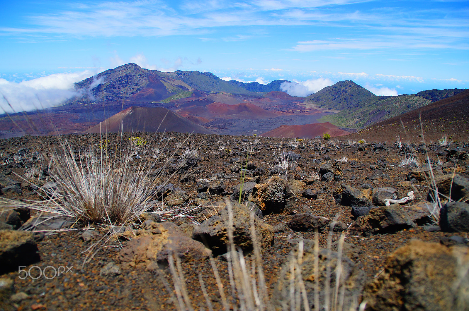 Sony SLT-A37 + Sony DT 18-200mm F3.5-6.3 sample photo. Volcanic maui photography