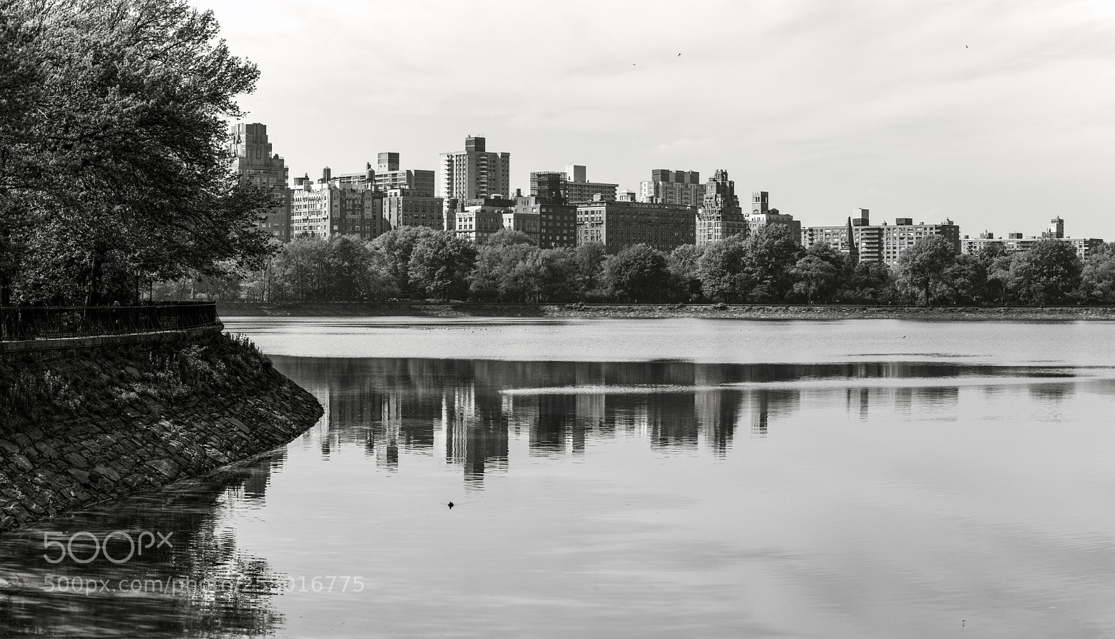 Sony a7R II sample photo. Central park reservoir detail photography