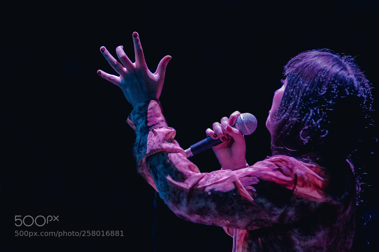 Nikon D7100 sample photo. Editar photography