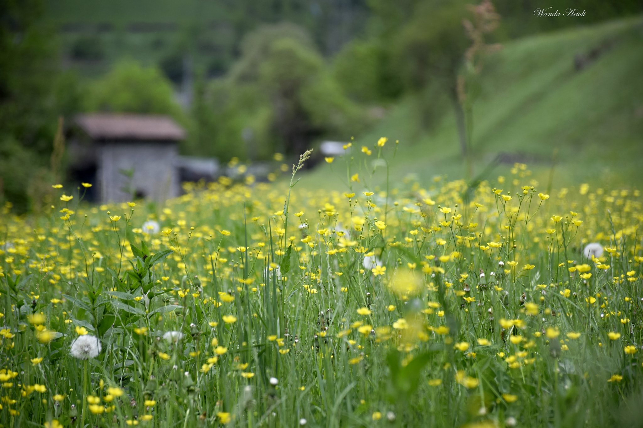 Nikon D5300 sample photo