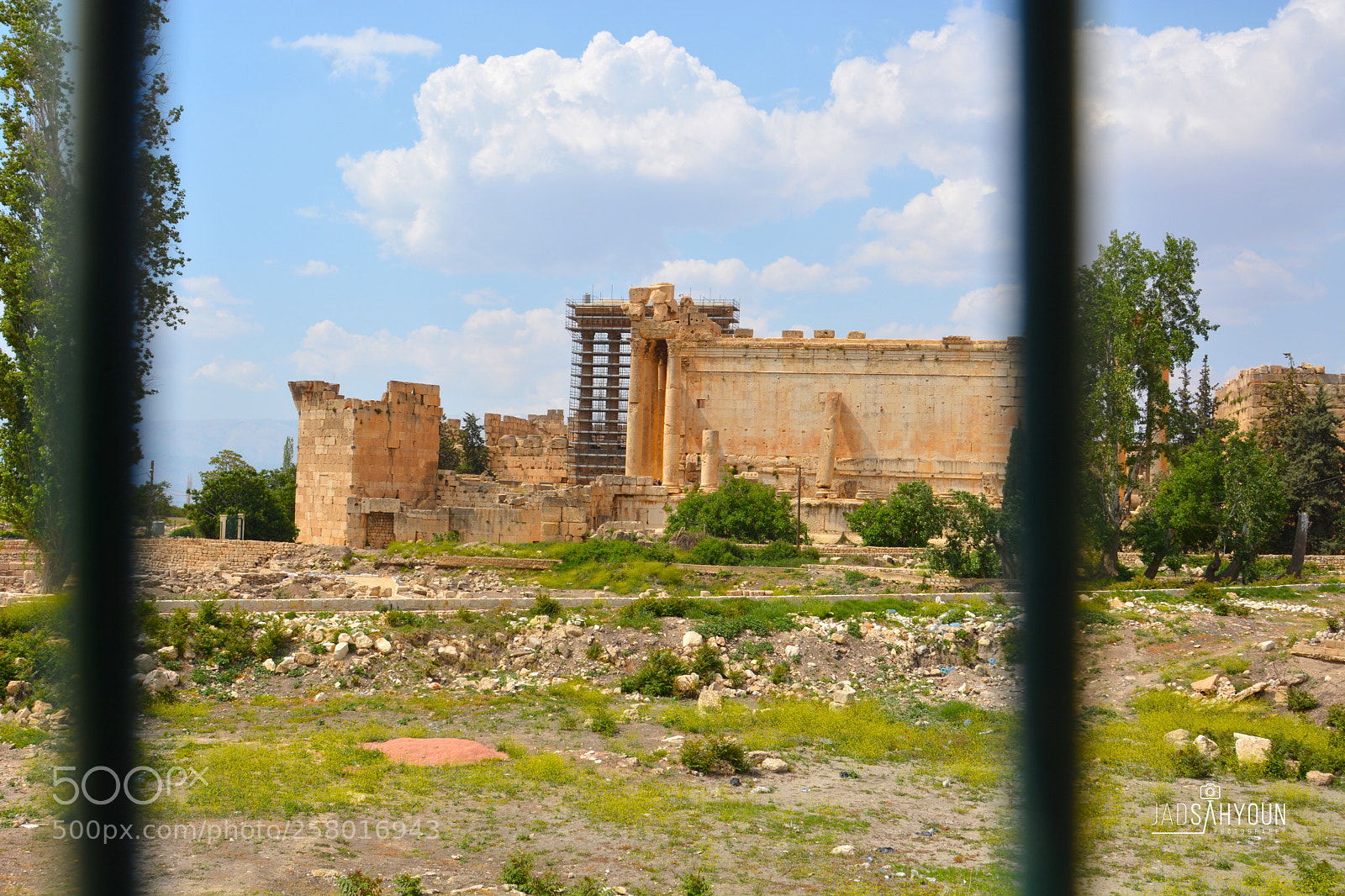 Nikon D7100 sample photo. Baalbek roman ruins from photography