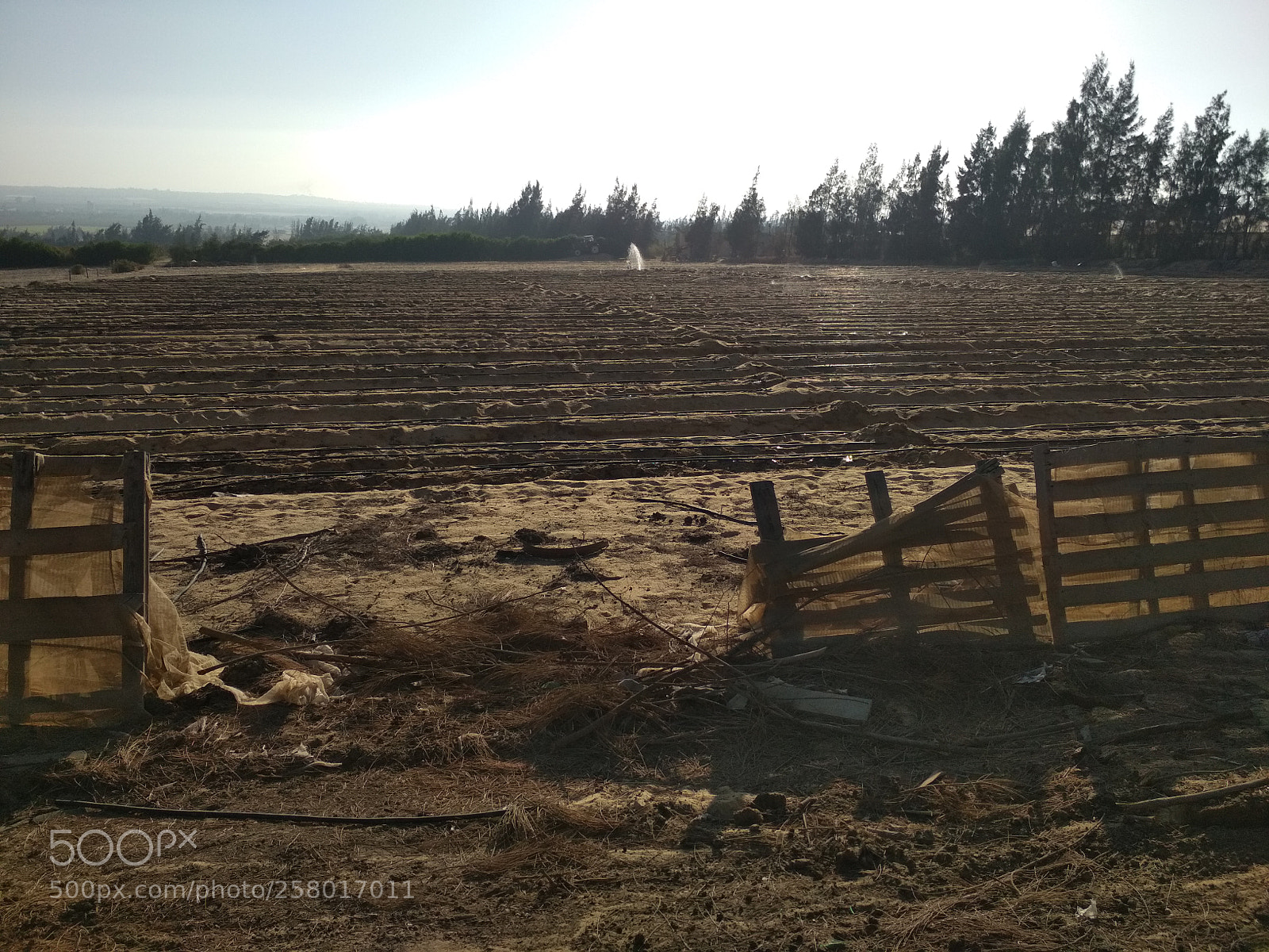 Xiaomi Redmi 4X sample photo. Img_20171006_073841.jpg photography