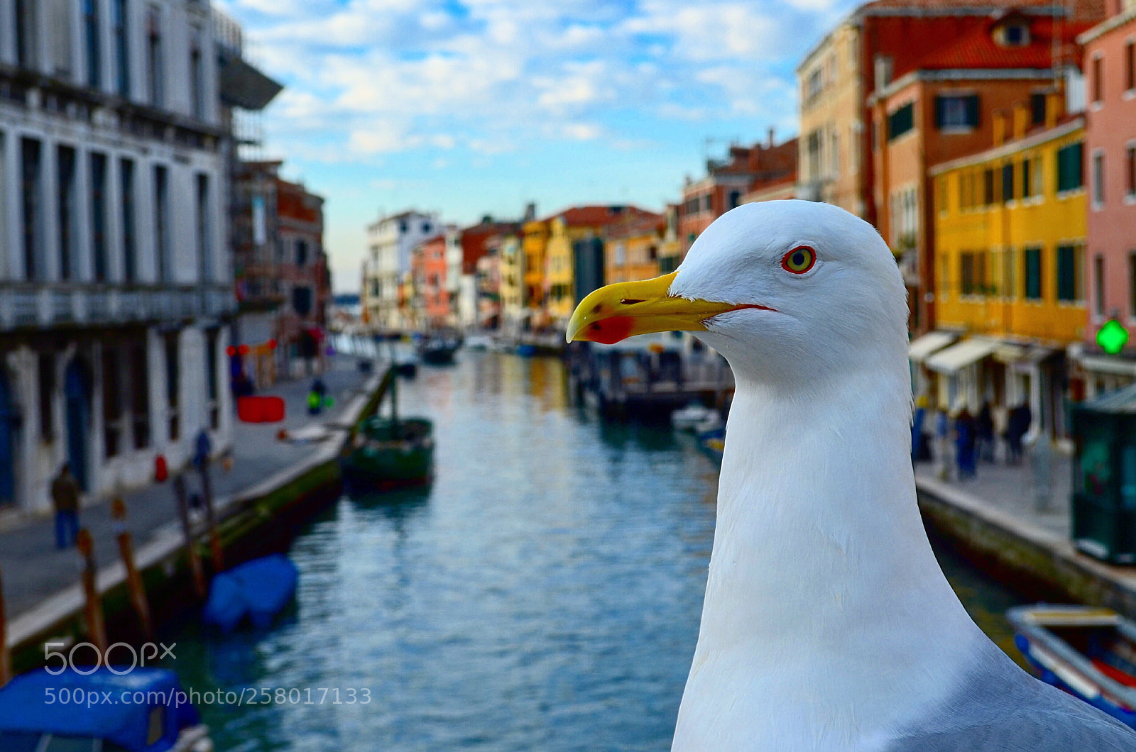 Nikon D5100 sample photo. Eye of the venice photography