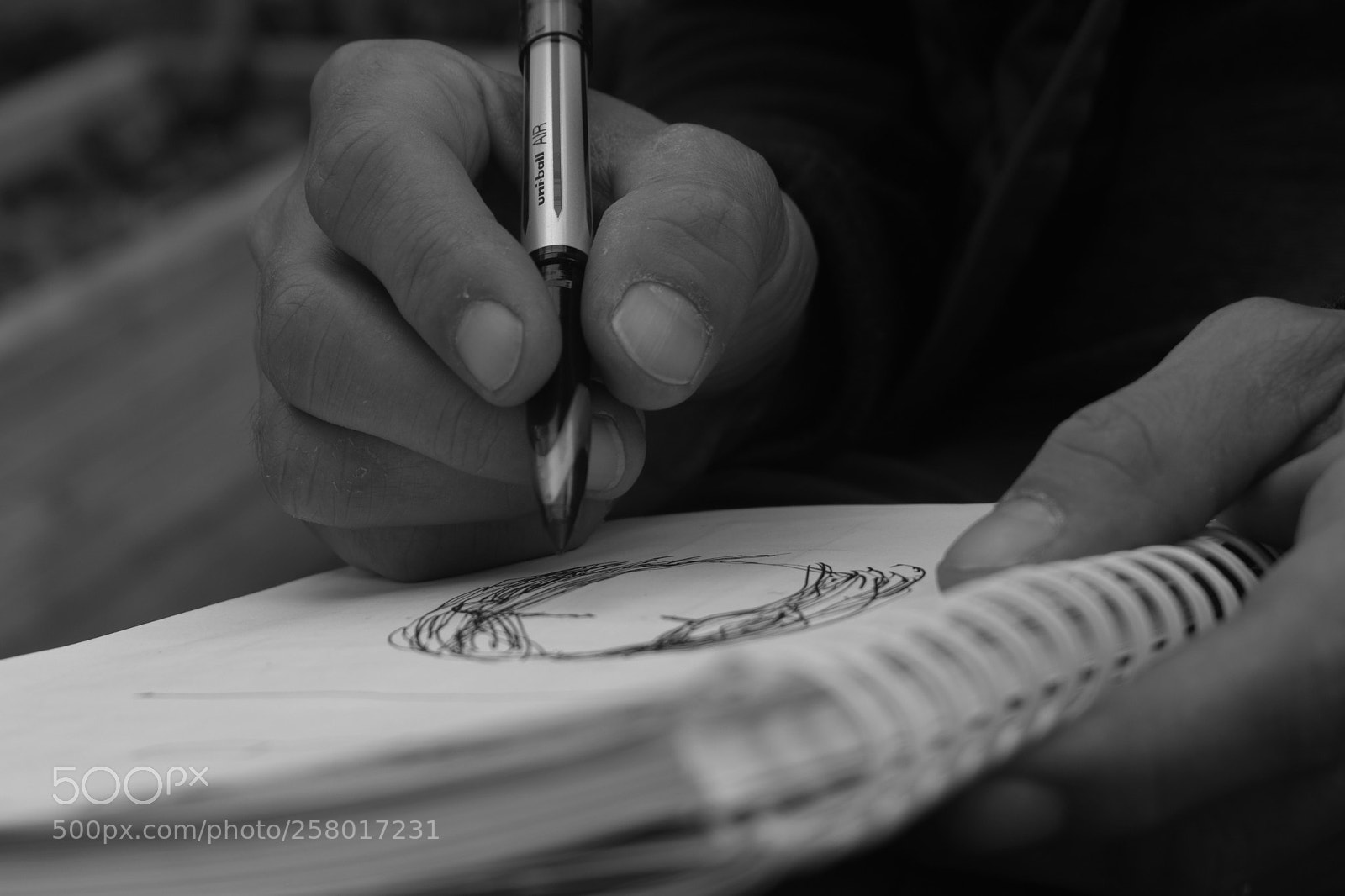 Nikon D3300 sample photo. The artist photography