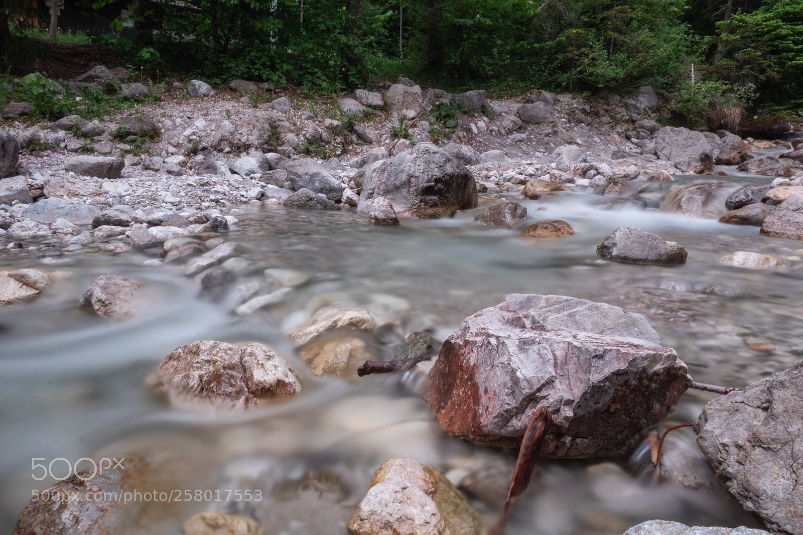 Canon EOS 750D (EOS Rebel T6i / EOS Kiss X8i) sample photo. Halltal photography