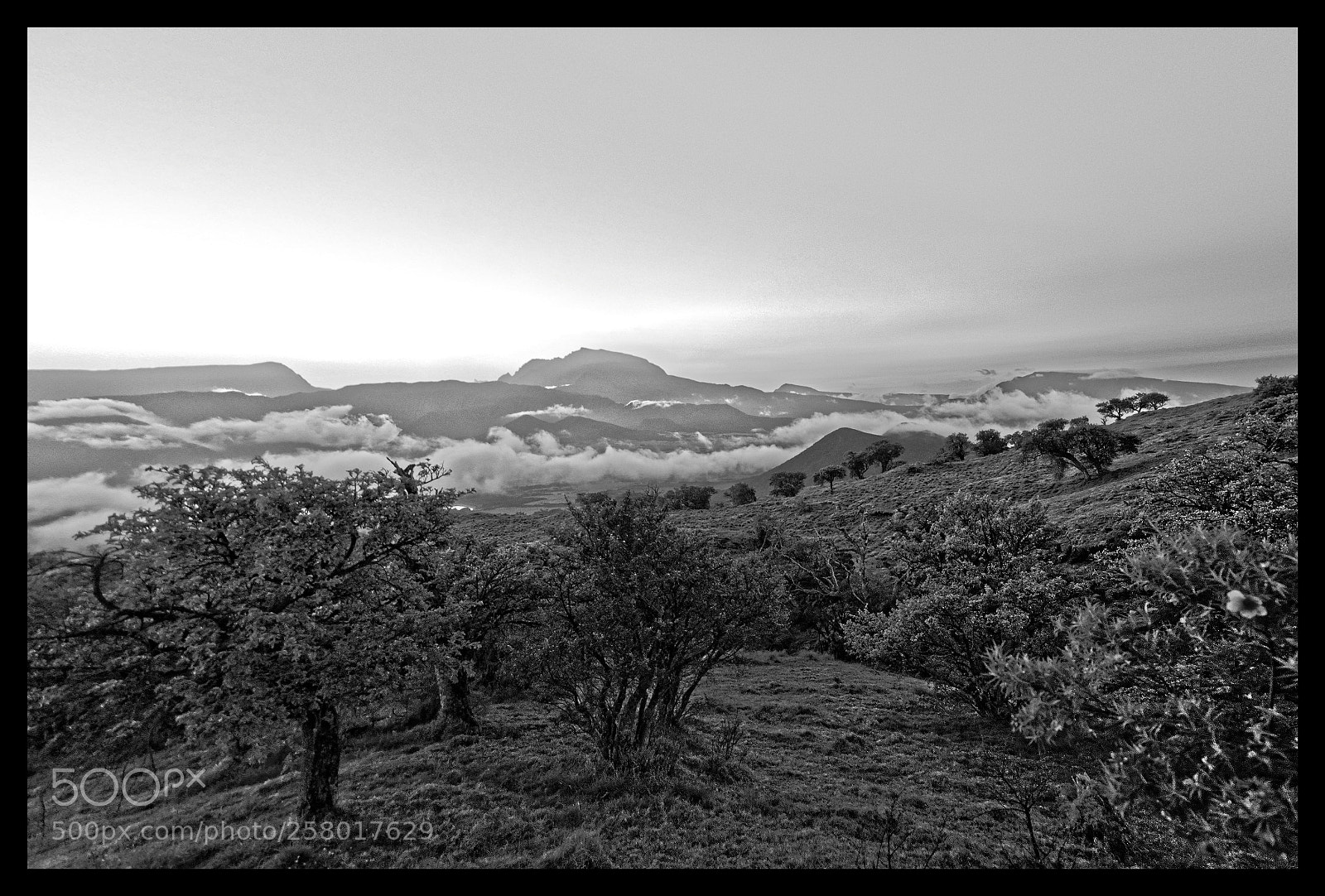 Nikon D7000 sample photo. Le piton des neige photography