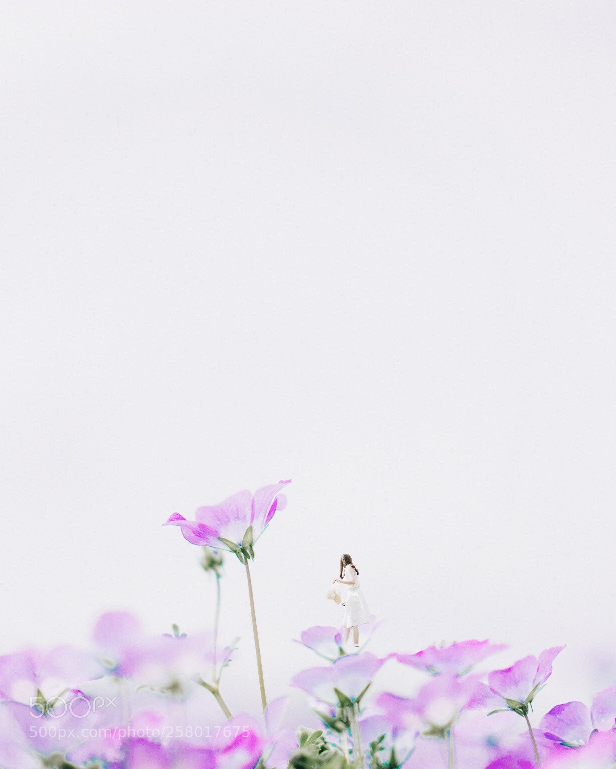 Sony a7 sample photo. Little giant. photography