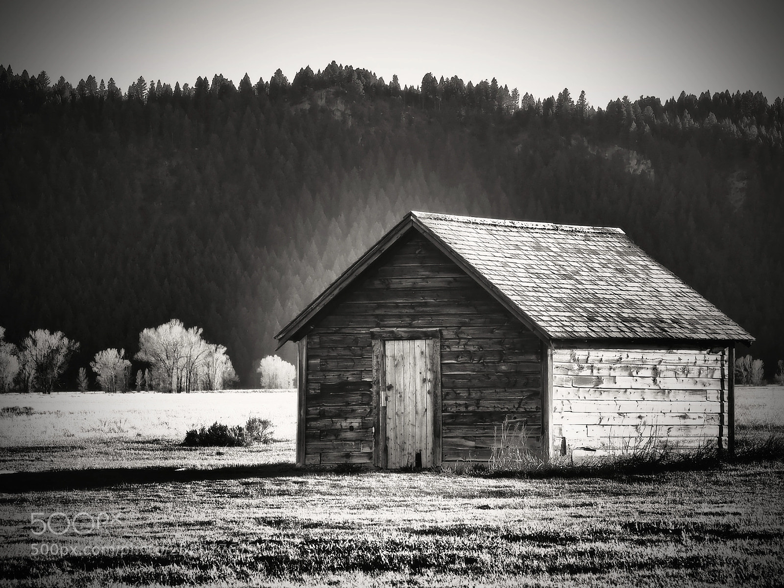 Olympus OM-D E-M10 II sample photo. Still standing... photography