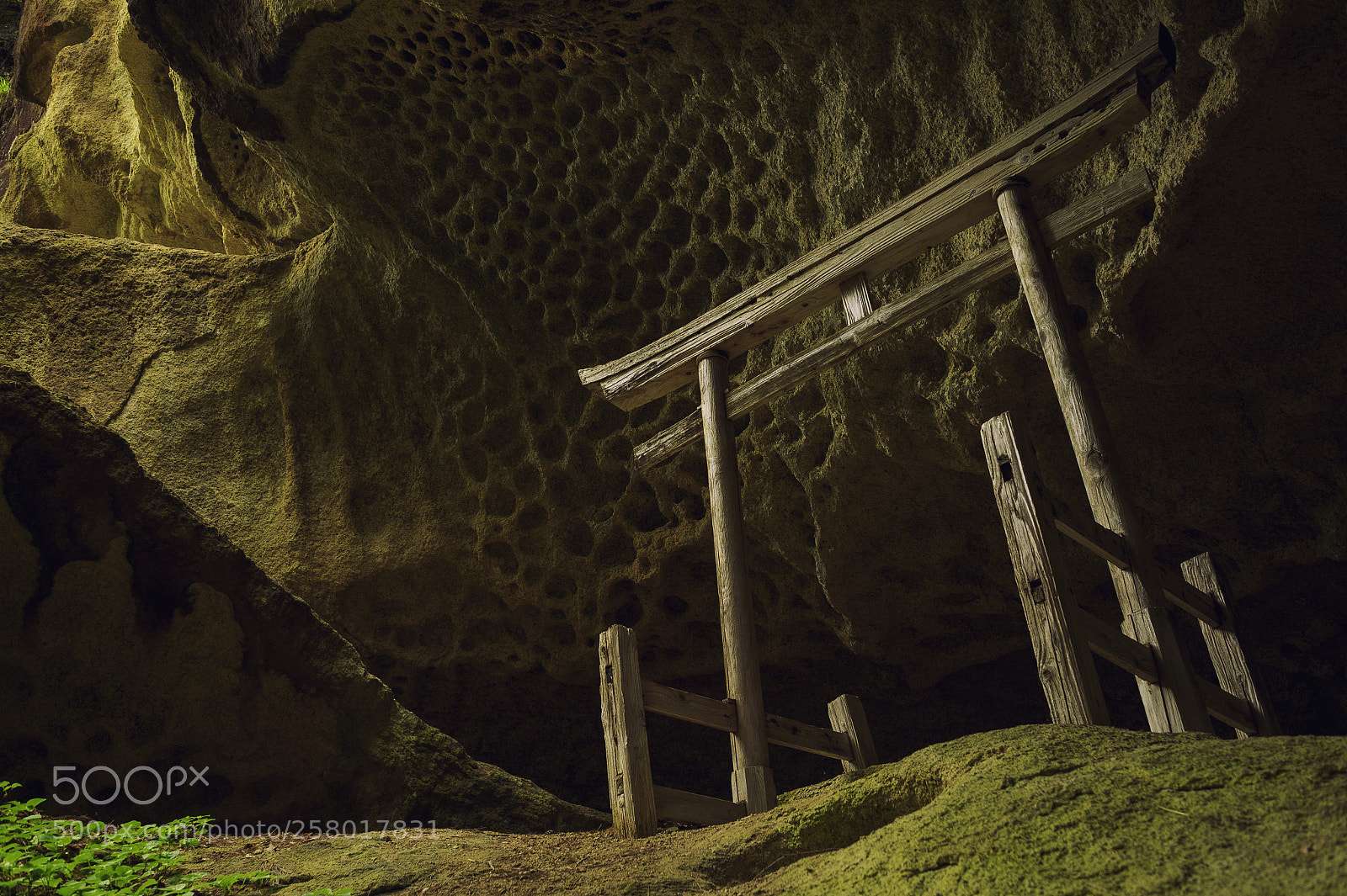 Nikon Df sample photo. Sanctuary photography