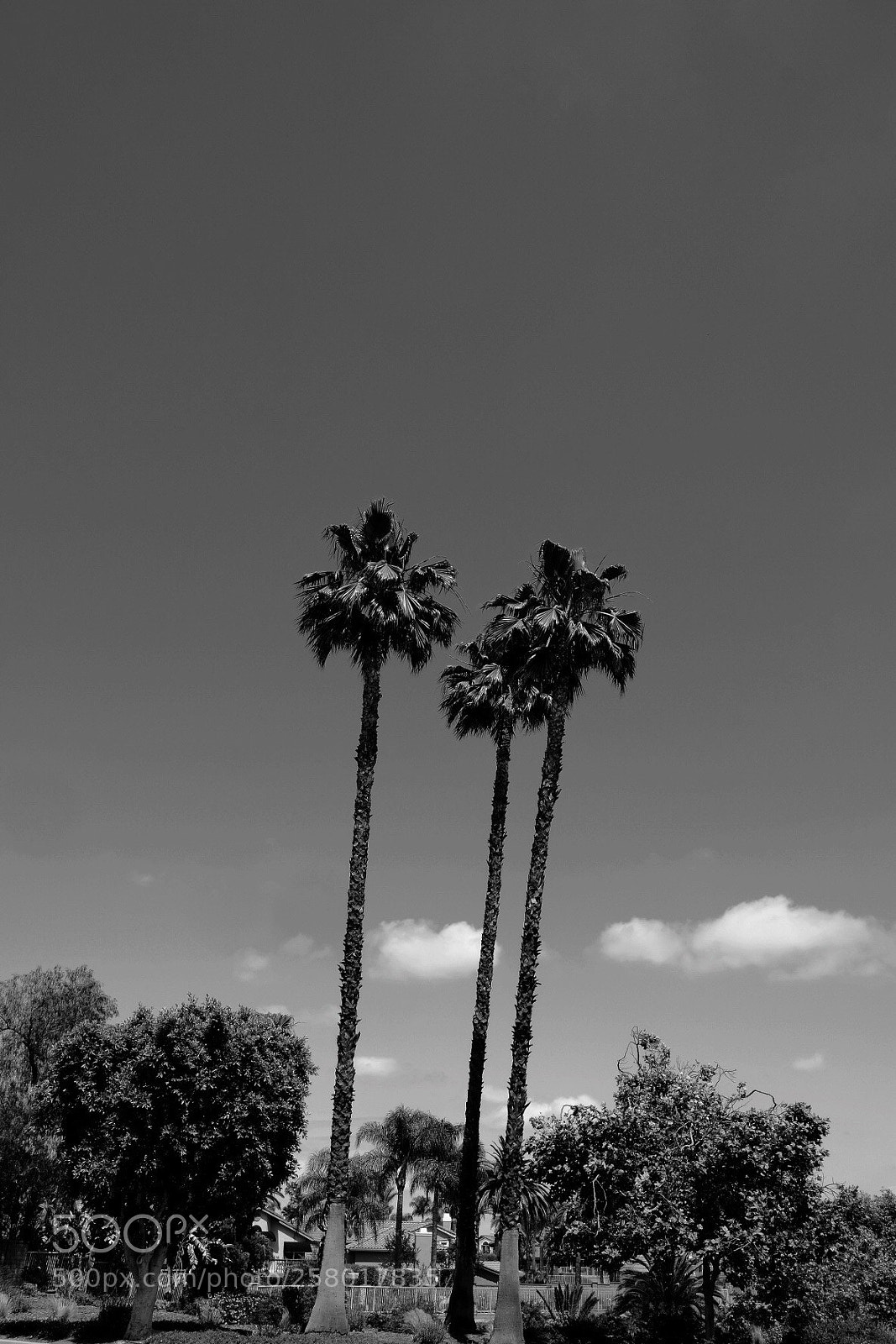 Fujifilm X-E3 sample photo. On a sunday afternoon photography