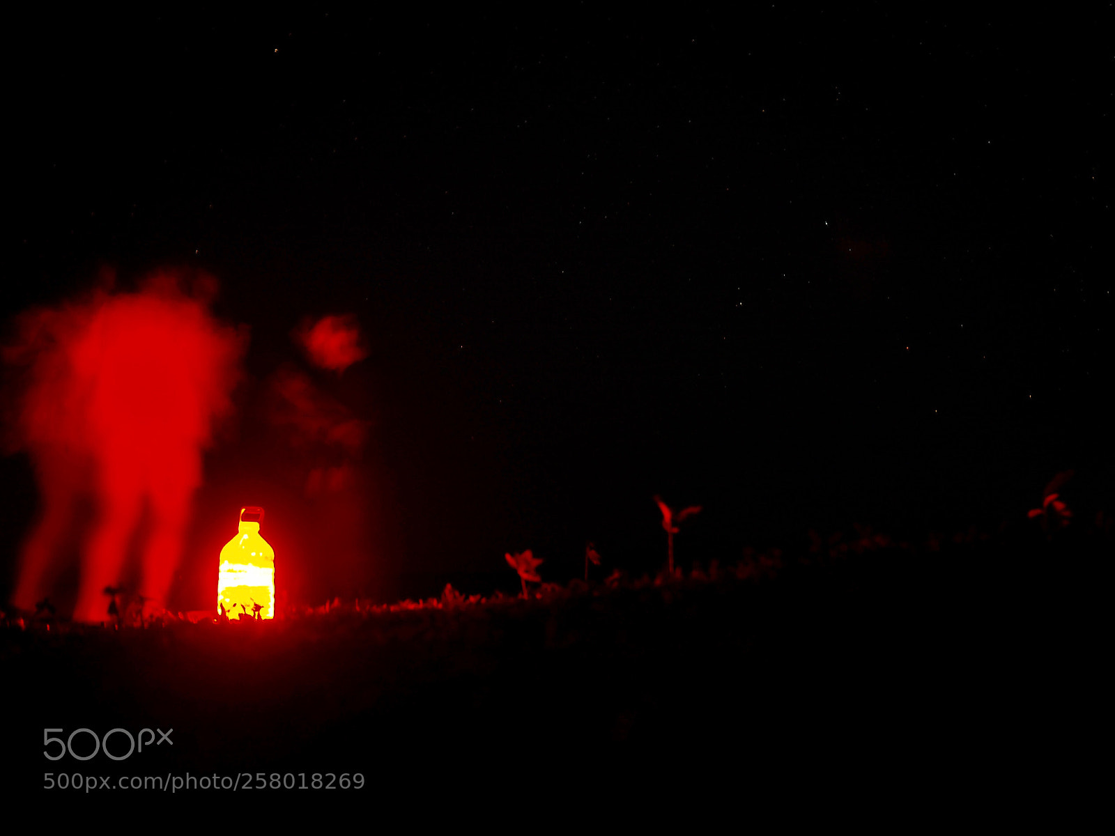 Olympus OM-D E-M10 II sample photo. Danc'in the night photography