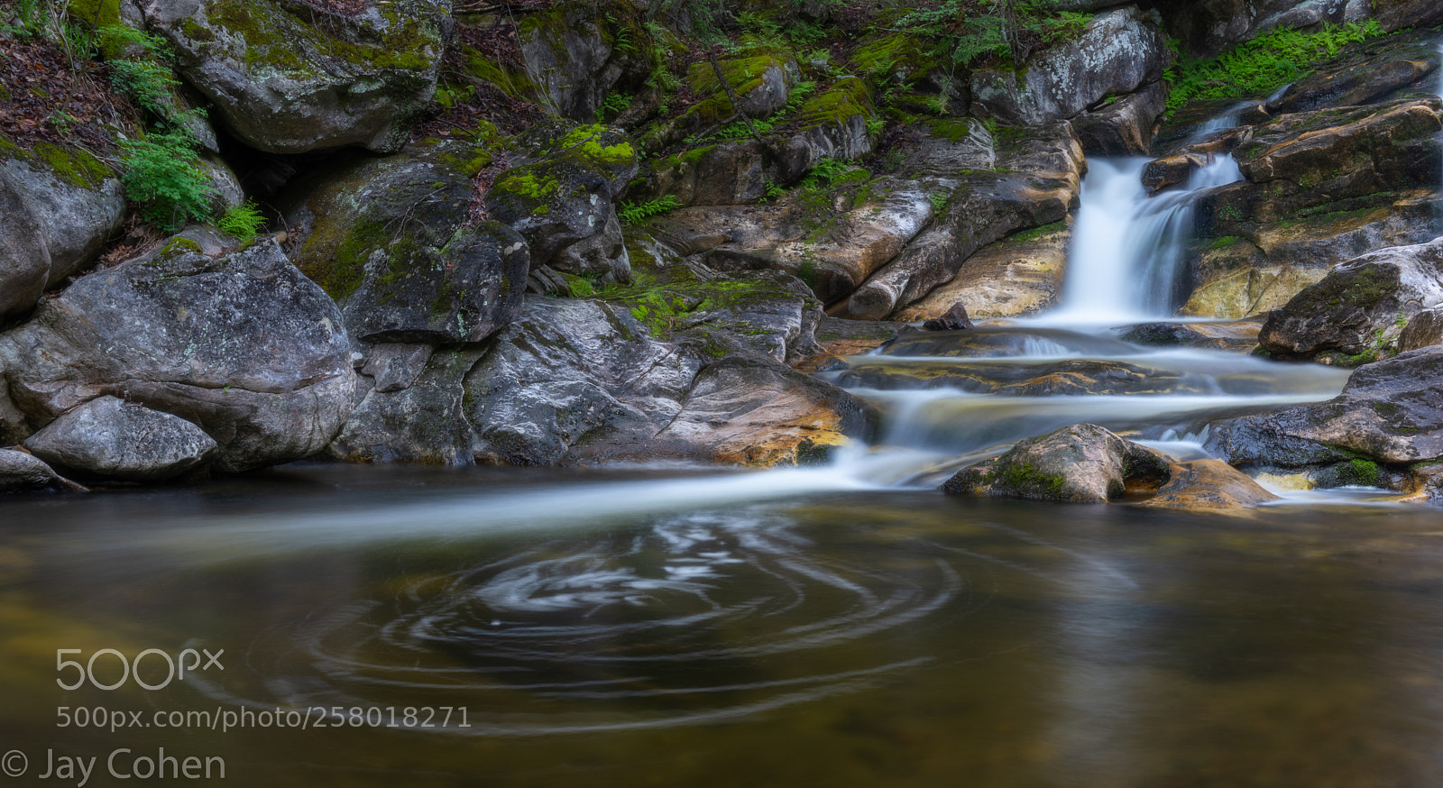 Nikon D750 sample photo. In a swirl photography