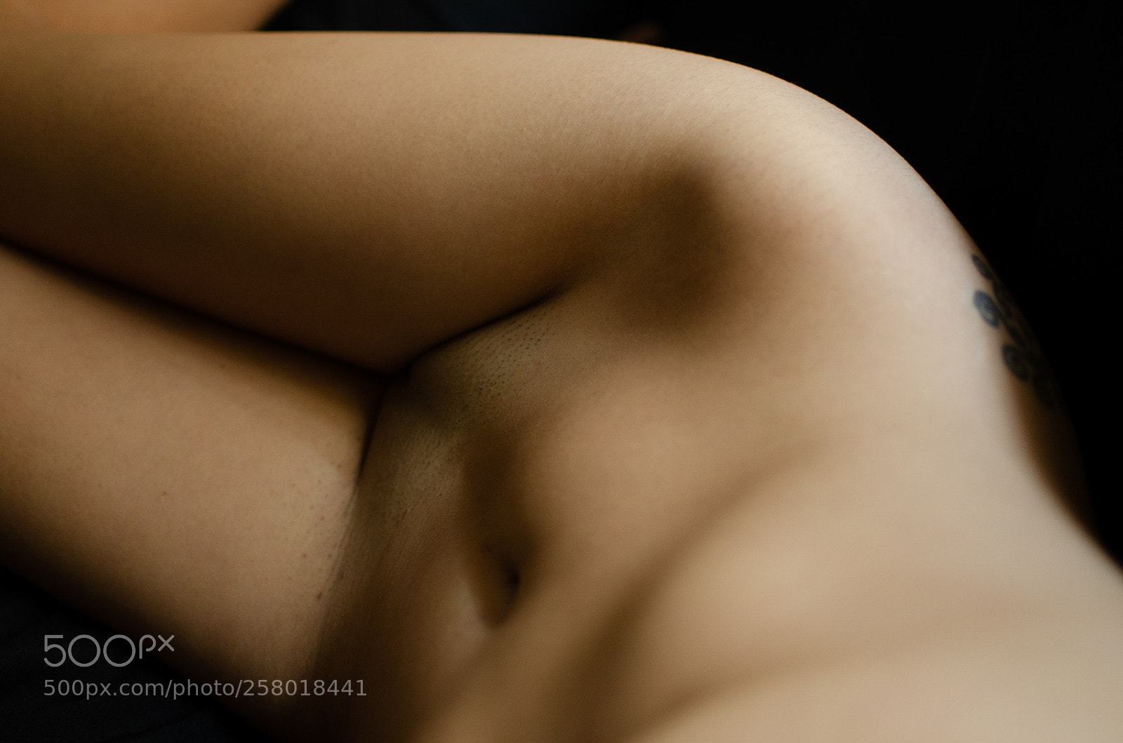 Nikon D7000 sample photo. Untitled photography