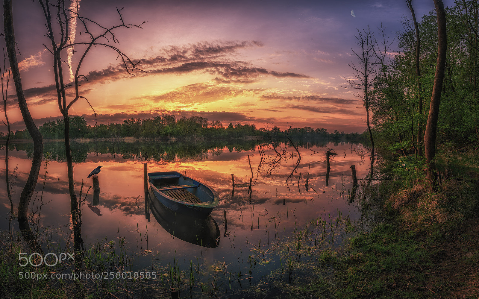 Nikon D810 sample photo. Sunset lake photography