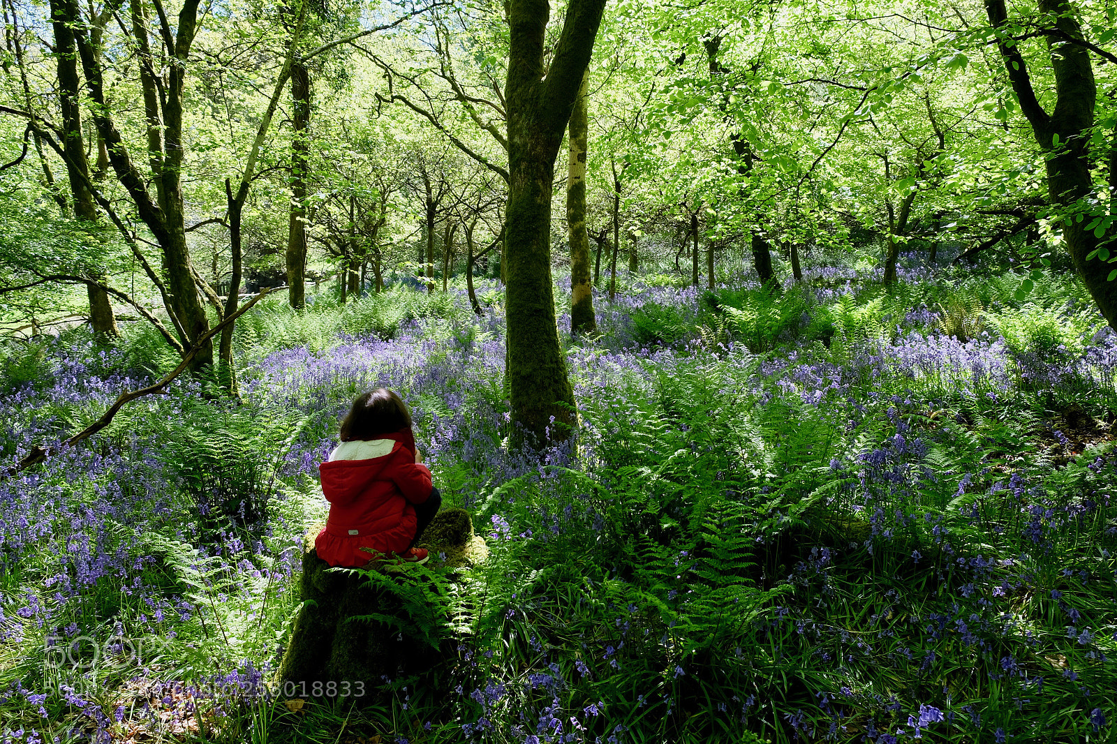 Fujifilm X-T10 sample photo. Contemplation photography