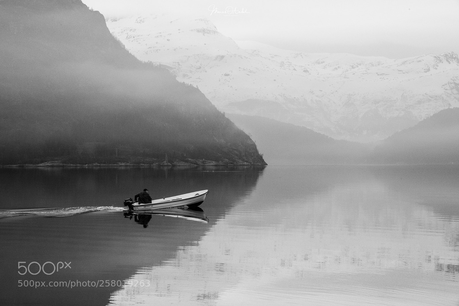Nikon D850 sample photo. Breaking through the mist photography