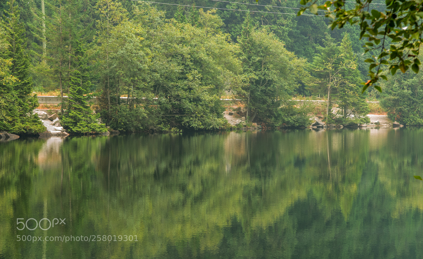 Nikon D750 sample photo. Reflections photography