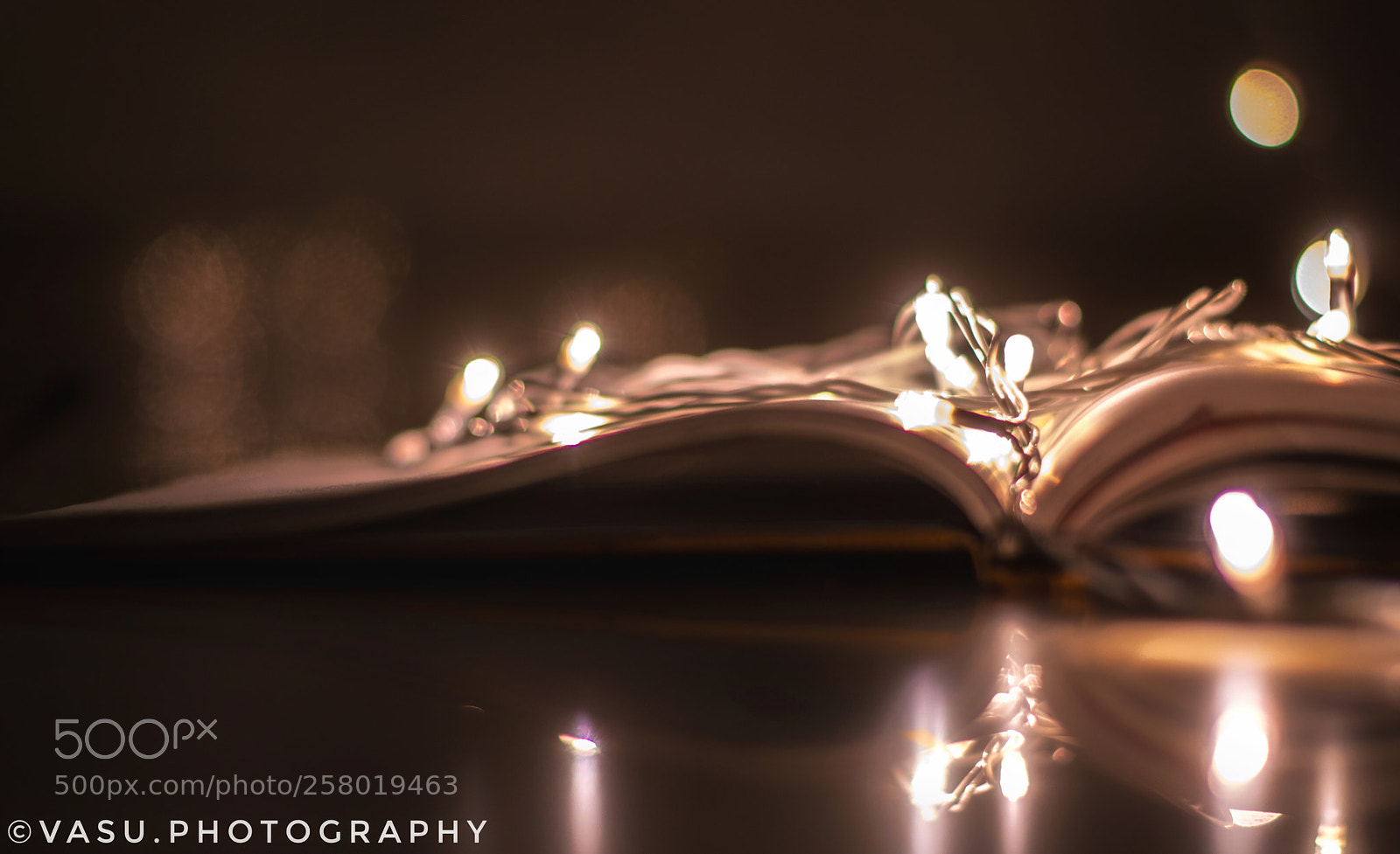 Nikon D3300 sample photo. The lightbook photography