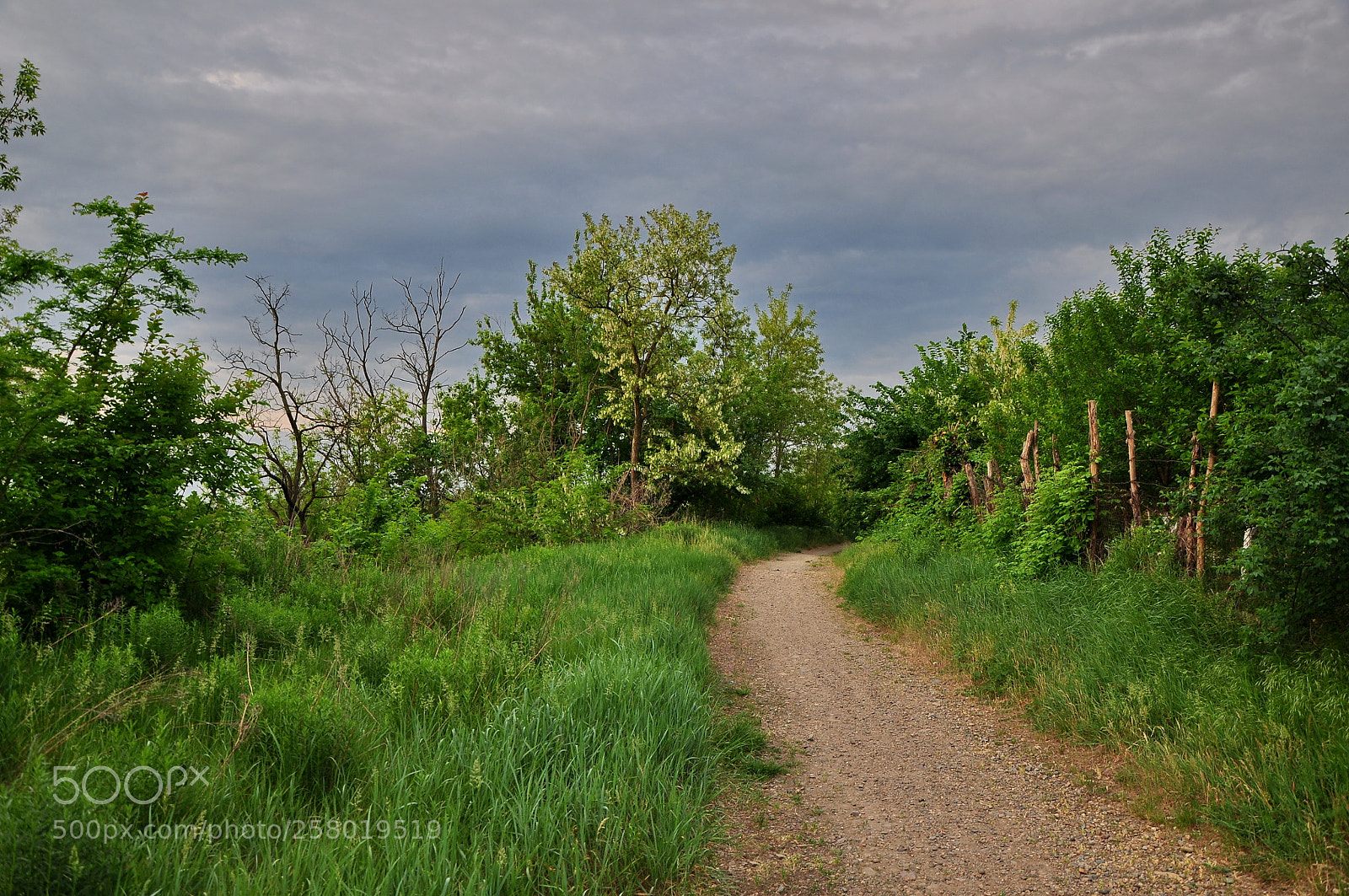 Nikon D90 sample photo. Untitled photography