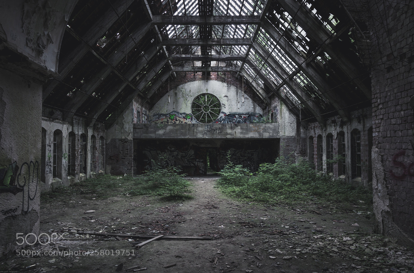 Canon EOS 50D sample photo. | lost faith | photography
