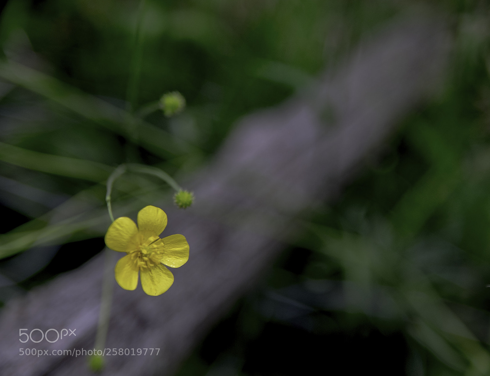 Fujifilm X-T1 sample photo. Wehrhaft im untergrund photography