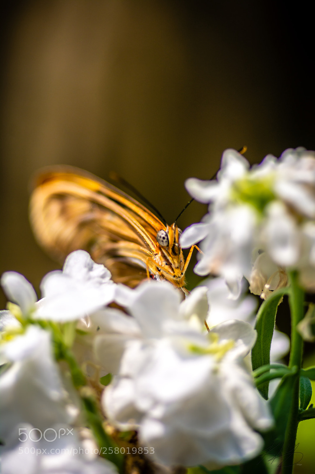 Nikon D7100 sample photo. Too you photography