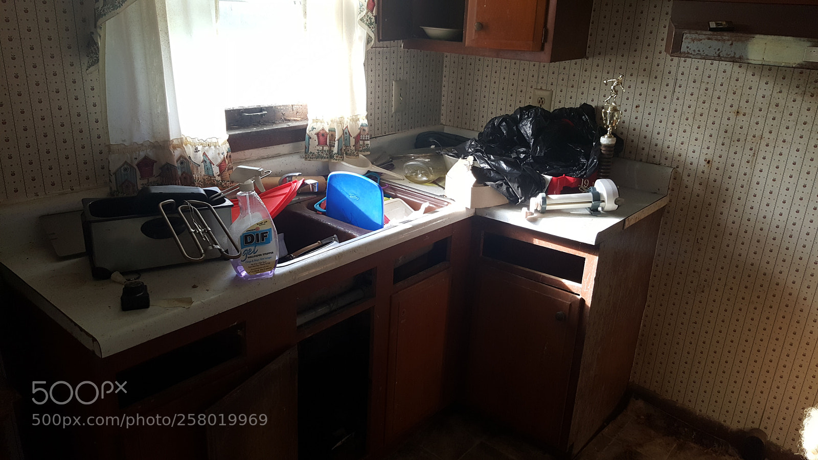 Samsung Galaxy Note5 sample photo. Untitled photography