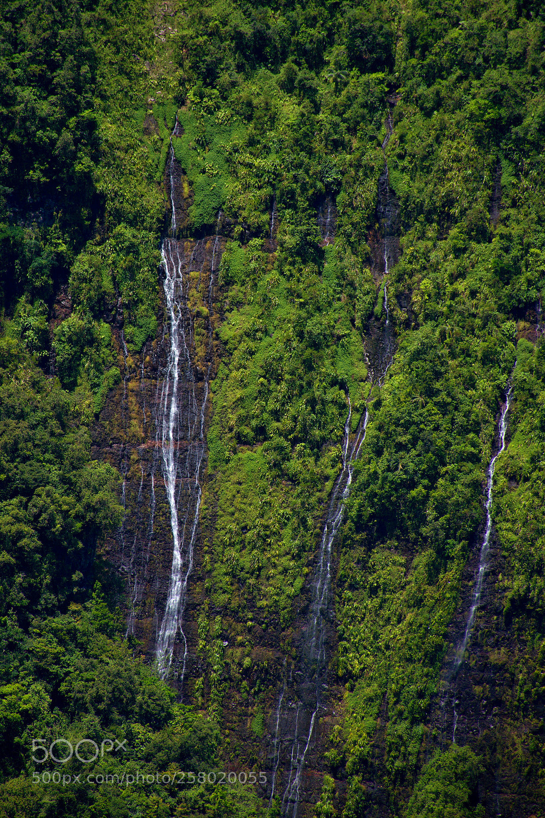 Nikon D3200 sample photo. Réunion - perfection photography
