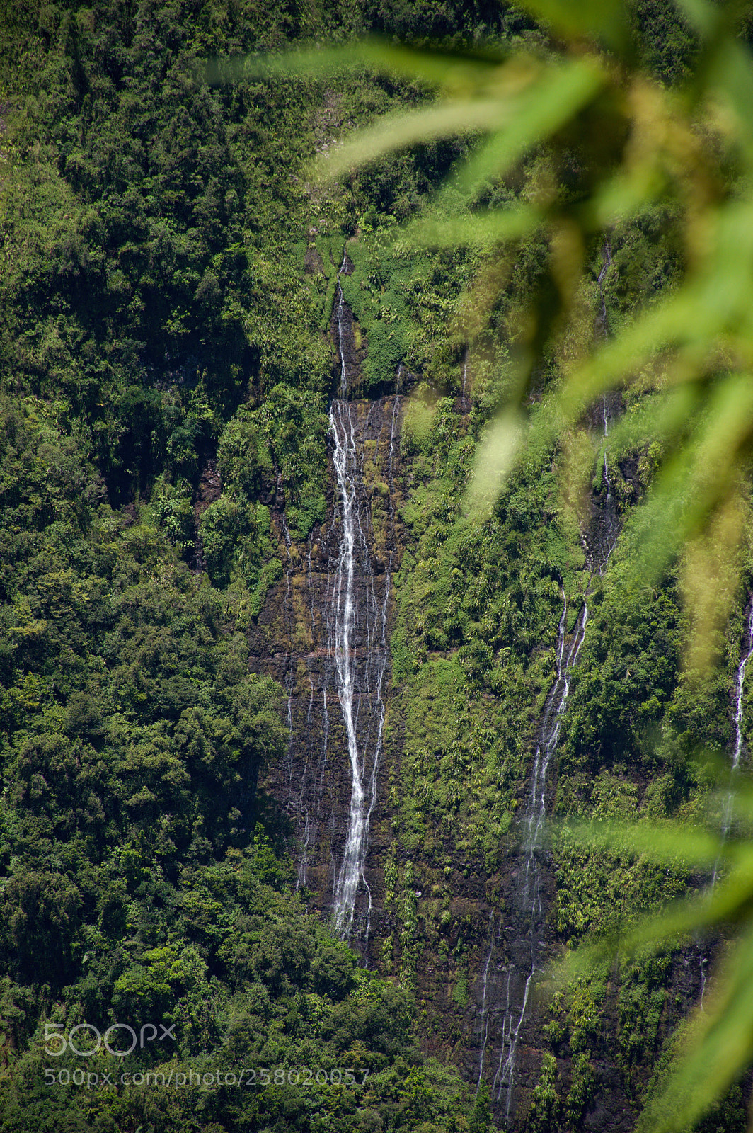 Nikon D3200 sample photo. Réunion - perfection photography