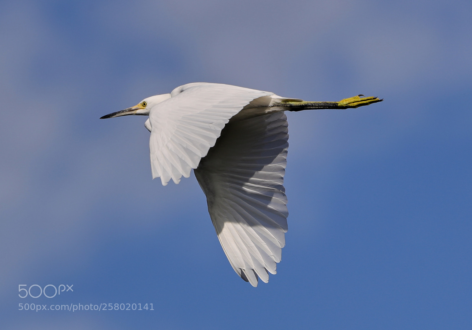 Canon EOS-1D X Mark II sample photo. 05-15-18-0017573.jpg photography