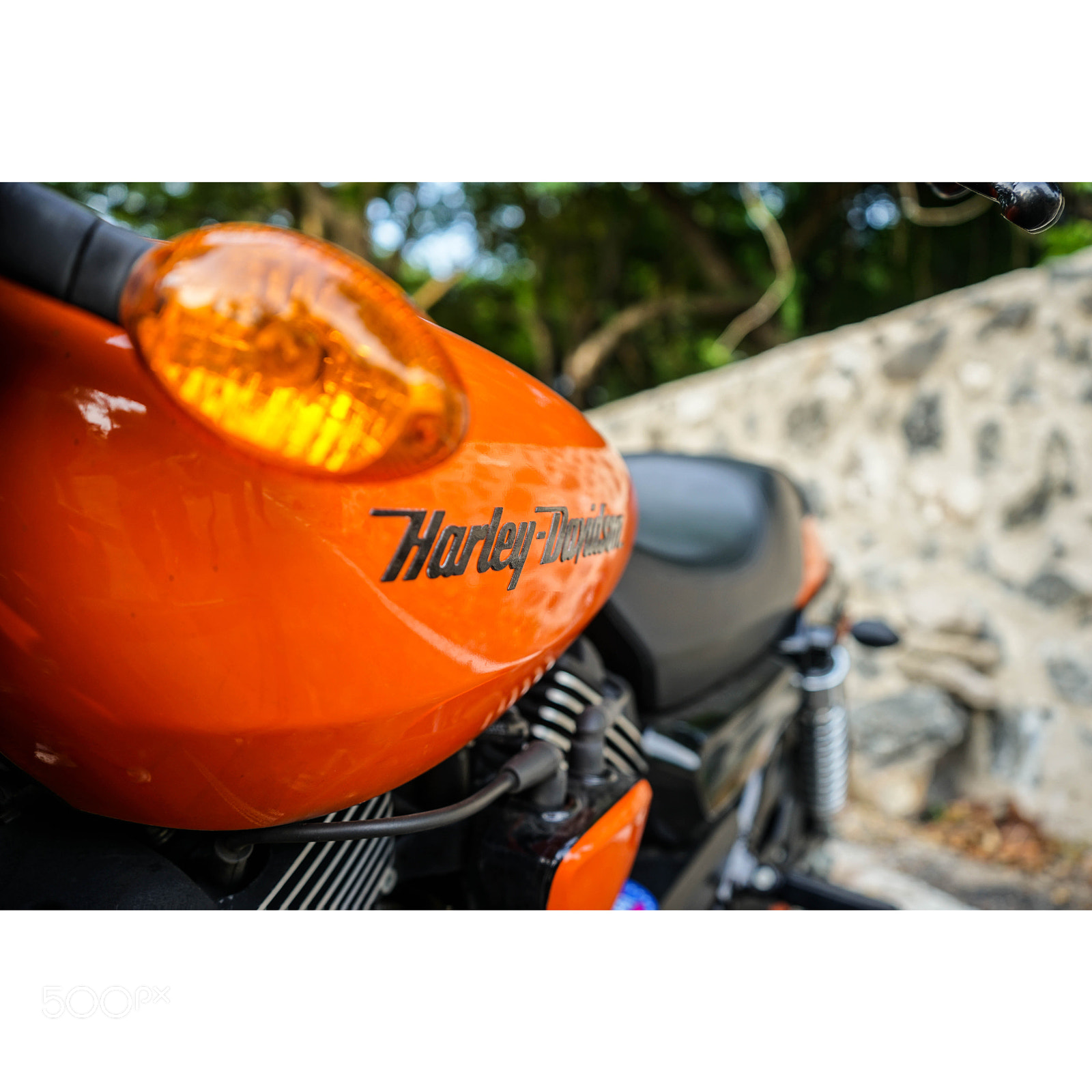 Sony a7 II sample photo. Davidson's close ups photography
