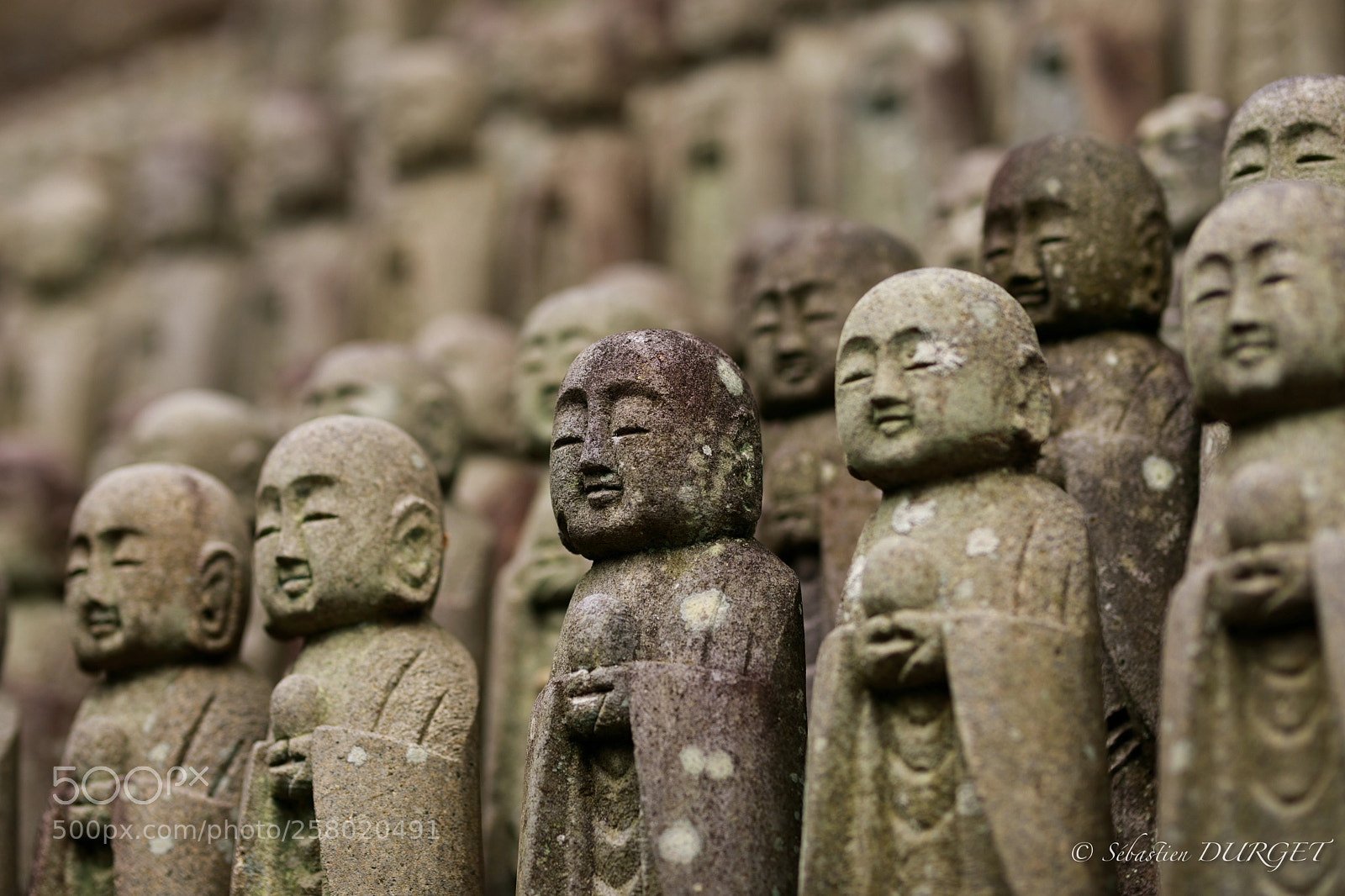 Canon EOS 5D Mark IV sample photo. Little zizo waiting.. photography