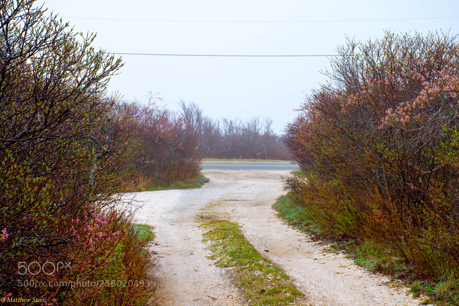 Nikon D5600 sample photo. Nantucket morning photography