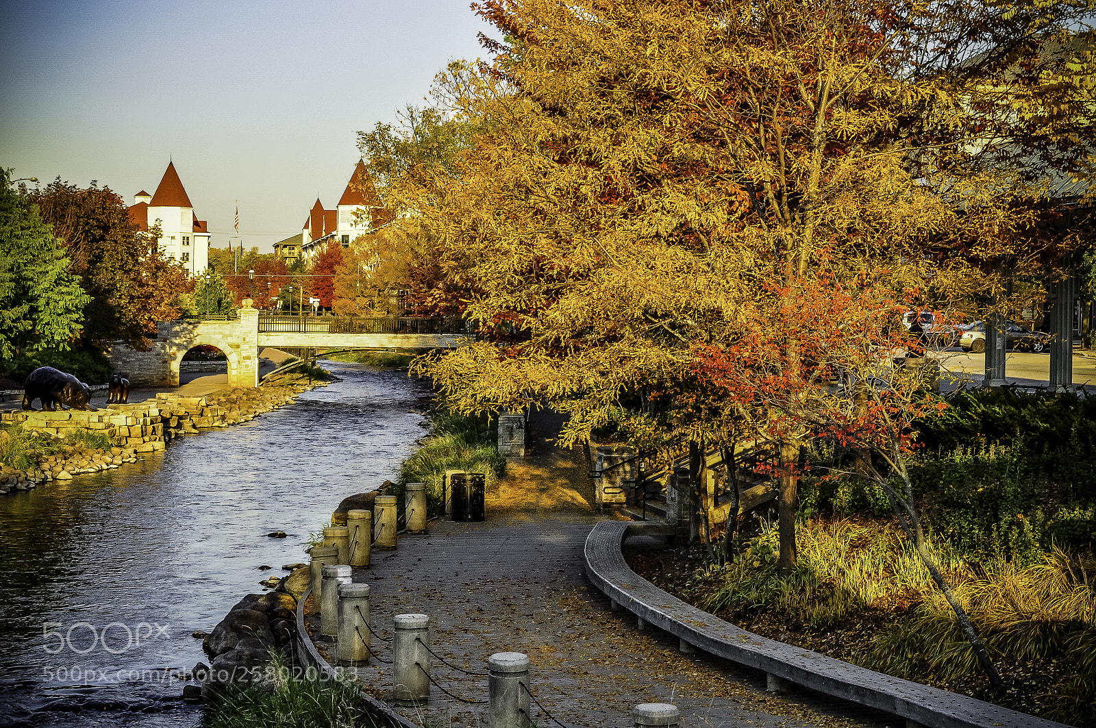 Nikon D5000 sample photo. Wisconsin fall - fox photography